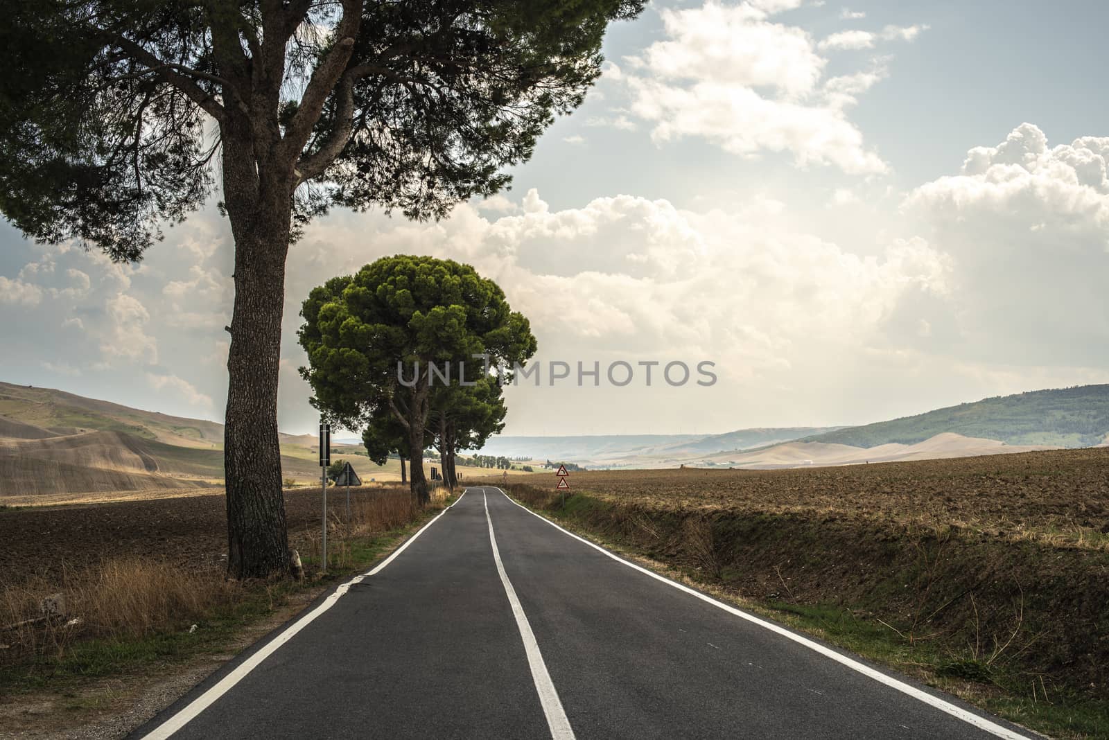 Old asphalt road with white line. Trees and agricultural land.