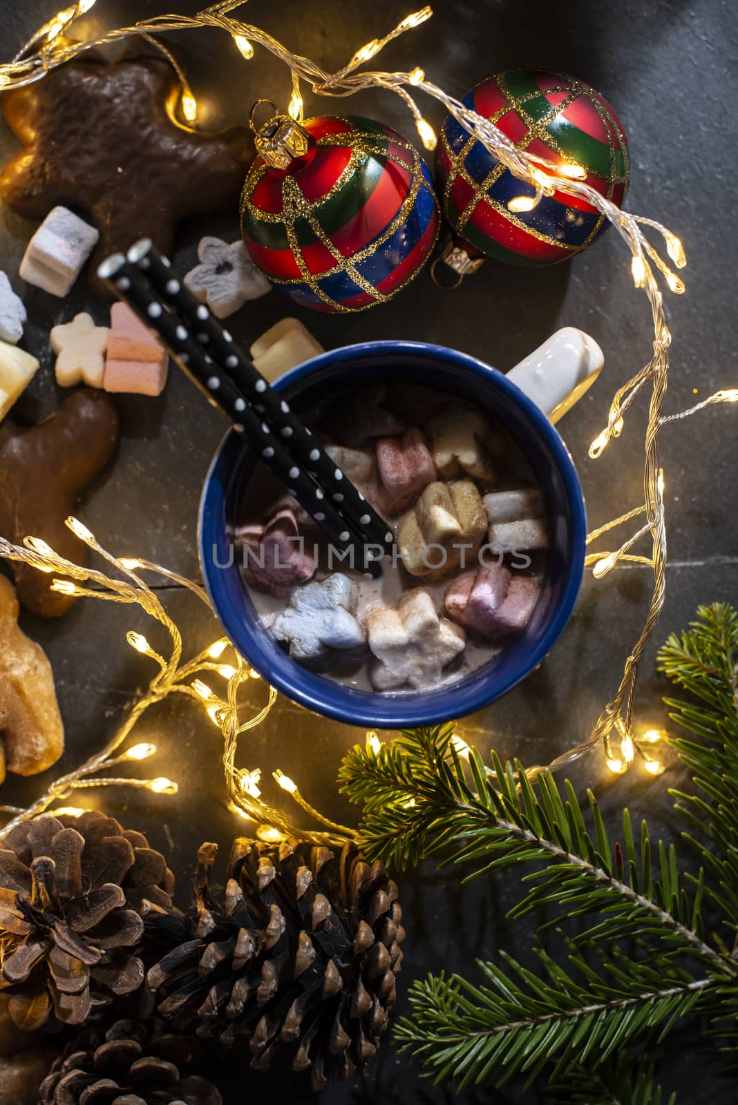 Cup of milk and Marshmallow. Christmas lights by deyan_georgiev