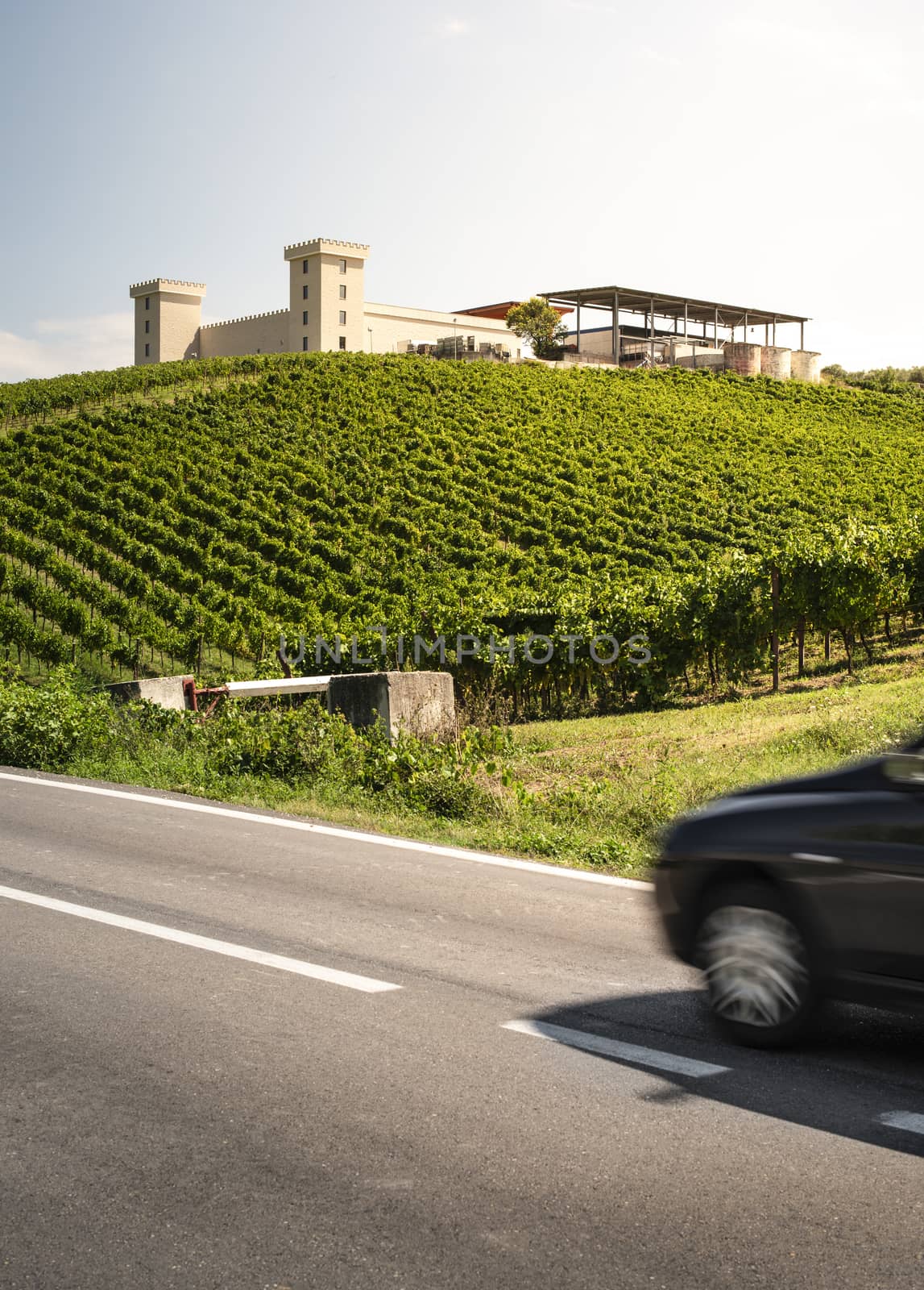 Winery on hill and vineyards rows. Winery building on top of the by deyan_georgiev