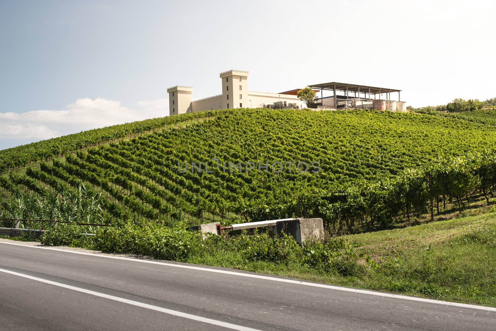 Winery on hill and vineyards rows. Winery building on top of the hill. Sunny day. 