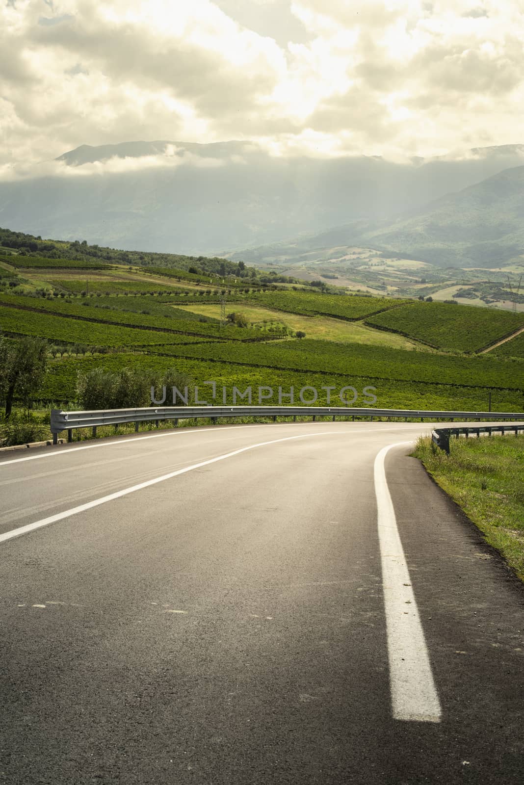 Asphalt road, vineyards and olive trees in countryside.  by deyan_georgiev