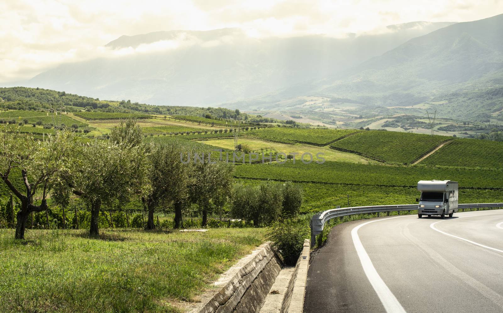 Asphalt road, vineyards and olive trees in countryside.  by deyan_georgiev