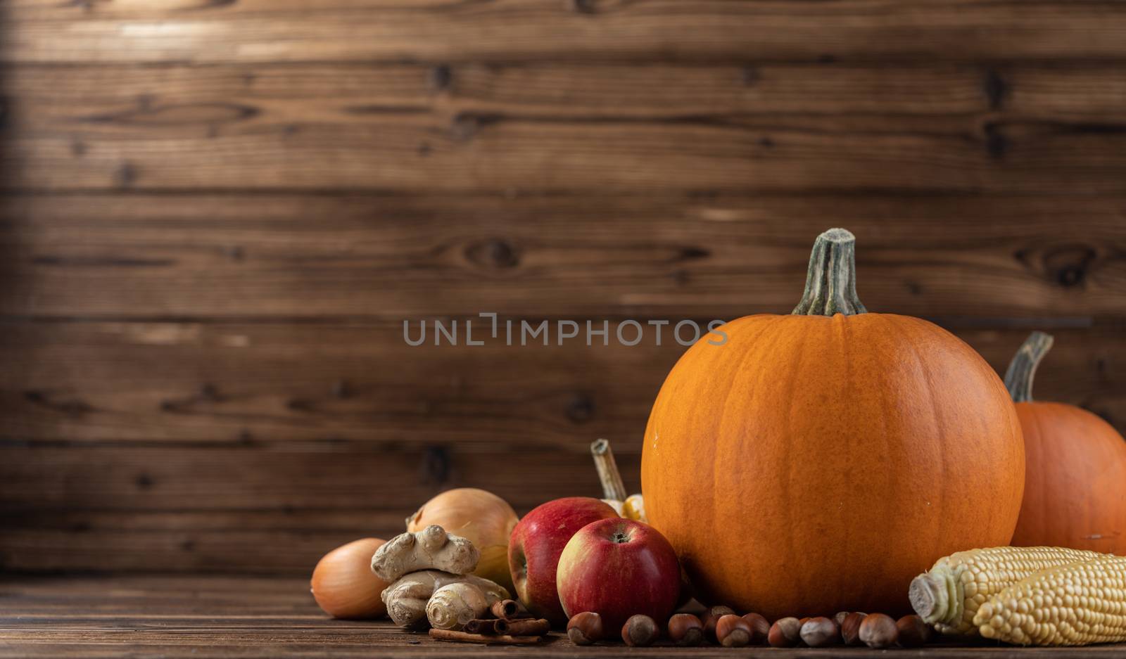Autumn harvest still life with pumpkins, apples, hazelnut, corn, ginger, onion and cinnamon on wooden background