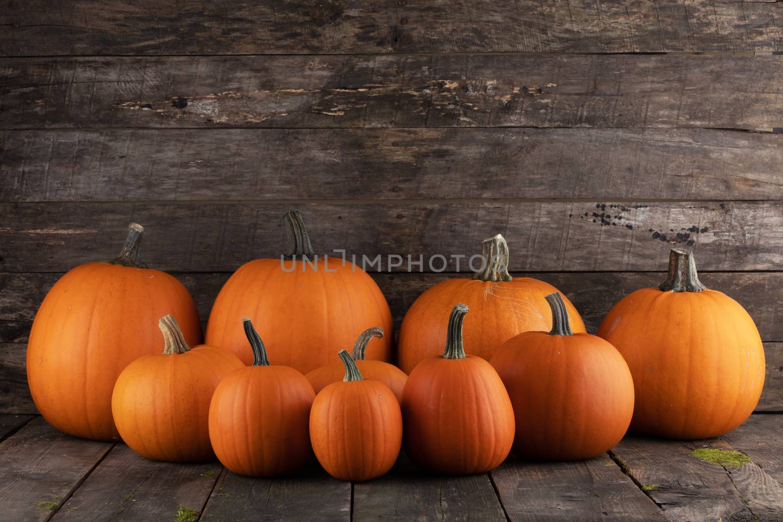 Many orange pumpkins on dark wooden background, Halloween concept