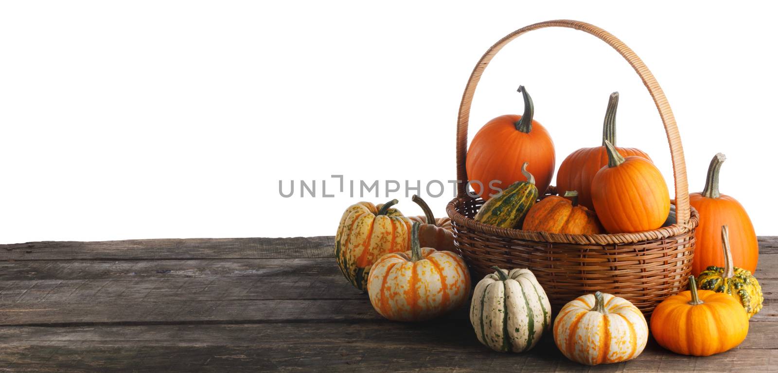 Pumpkins in basket by Yellowj