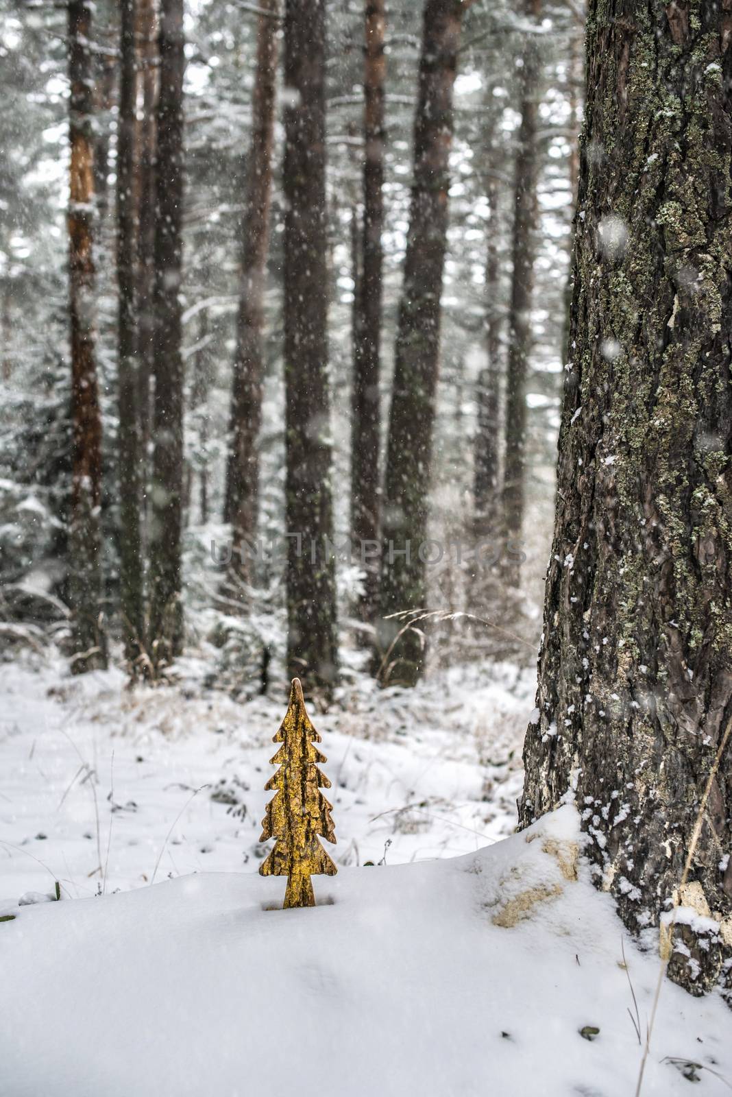 Wooden shaped pine tree in the snow in forest. Fir tree shape and shiny paint. Snowing in the forest. Gold colors