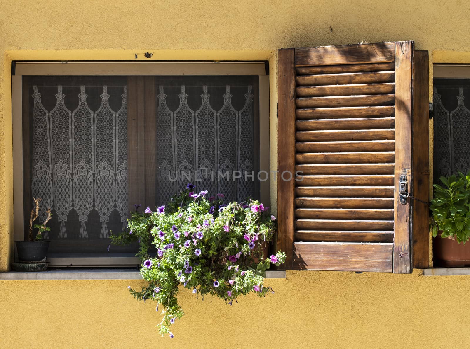 Typical italian facade with window. Italian house. by deyan_georgiev