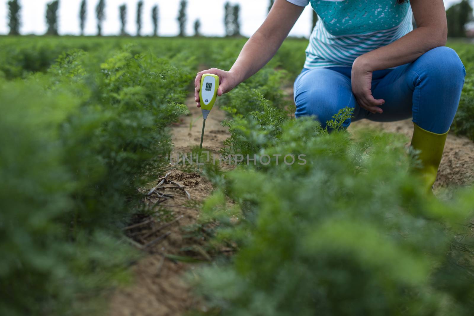 Measure soil with digital device. Green plants and woman farmer measure PH and moisture in the soil. High technology agriculture concept.