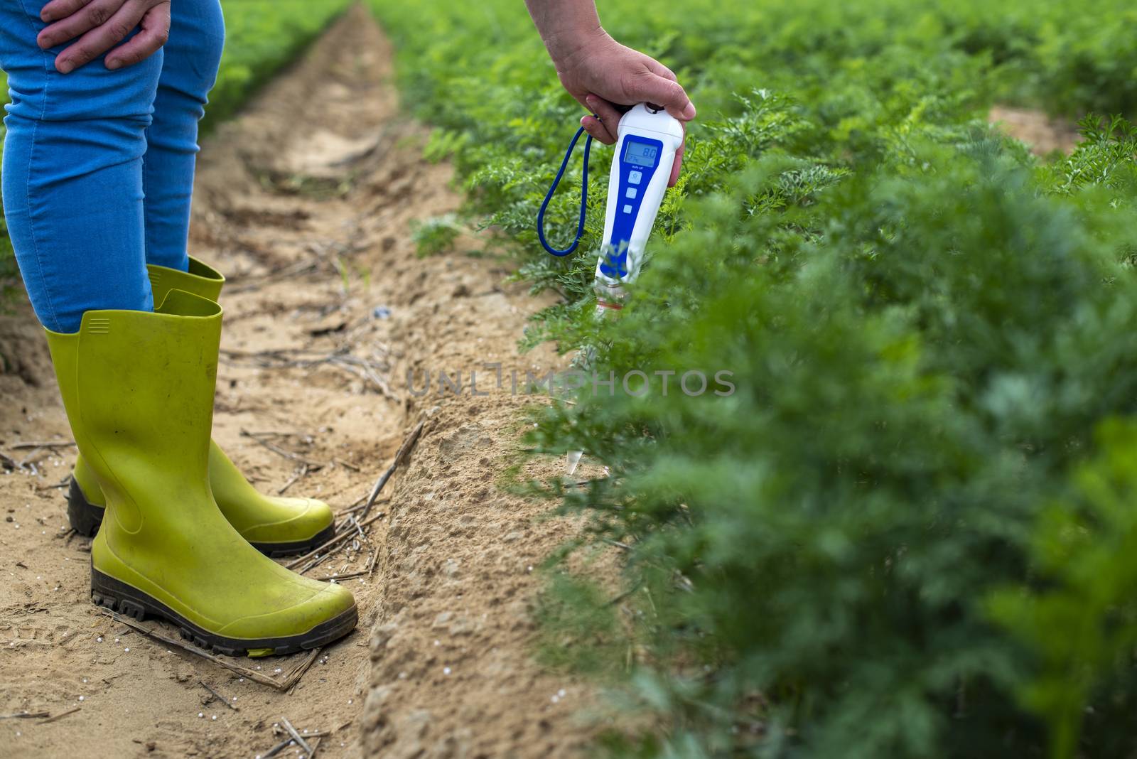 Measure soil with digital device. Green plants and woman farmer measure PH and moisture in the soil. High technology agriculture concept.