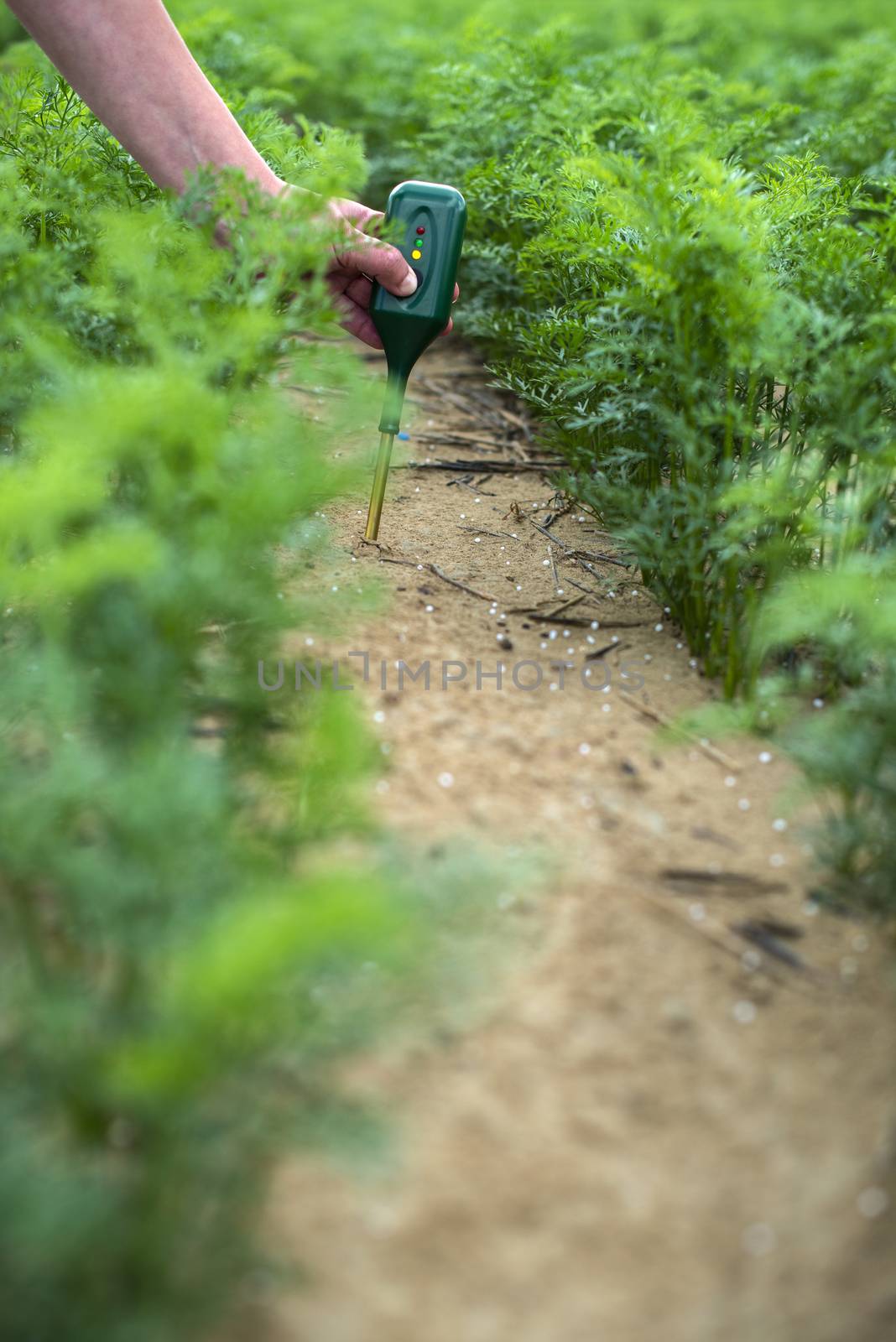 Measure soil with digital device. Green plants and woman farmer  by deyan_georgiev