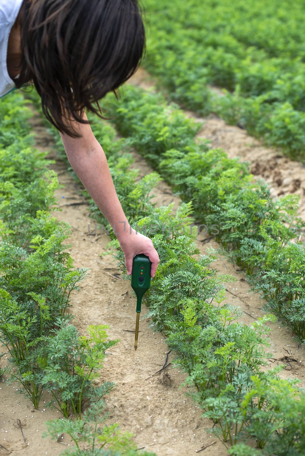 Measure soil with digital device. Green plants and woman farmer  by deyan_georgiev