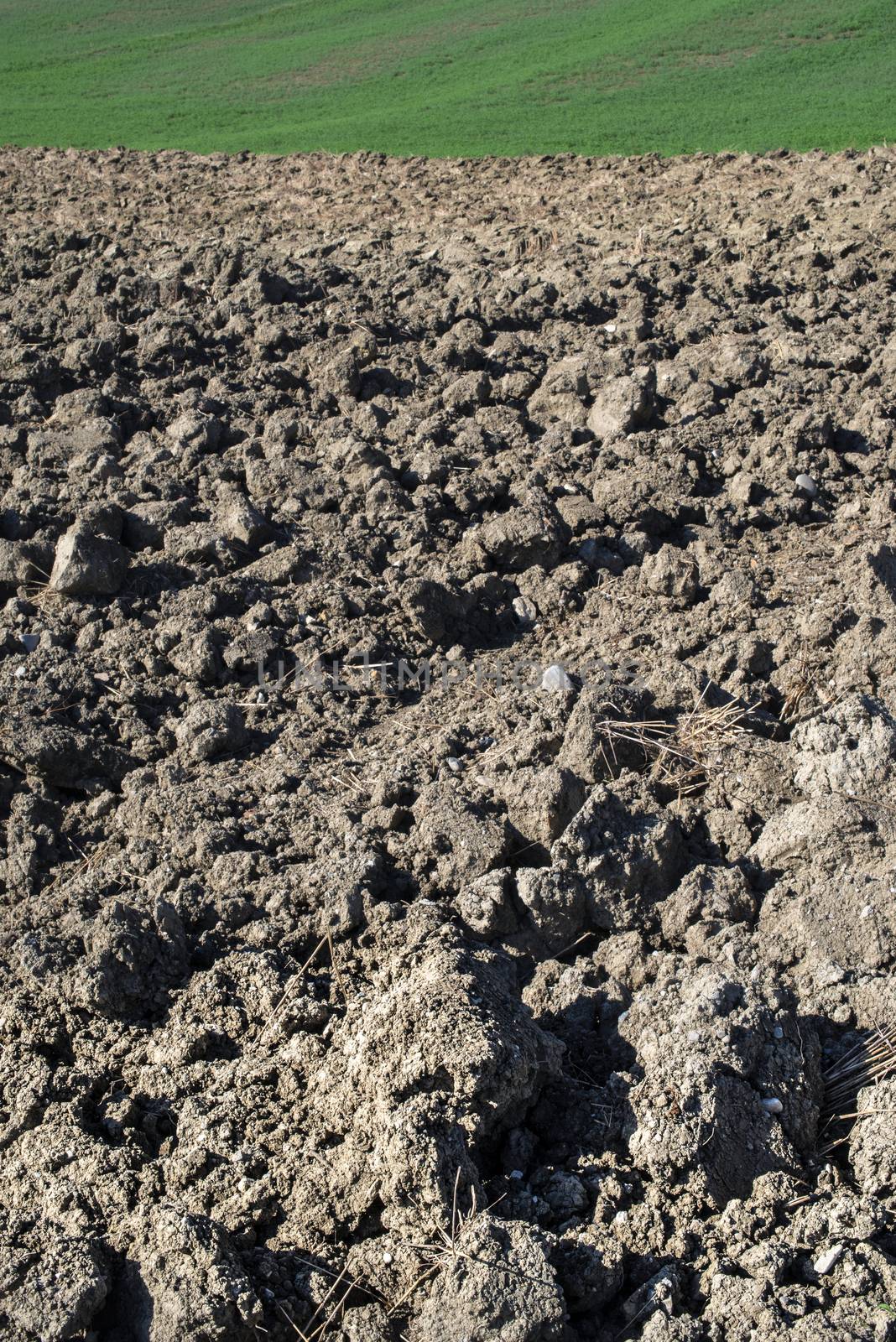 Ploughed soil close up. Sunny day.  by deyan_georgiev