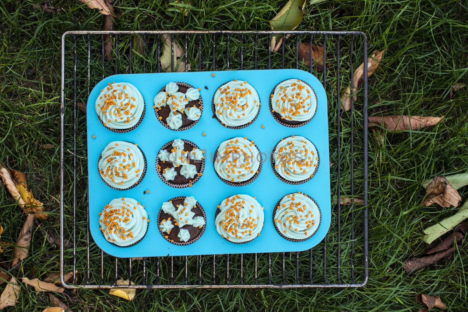 Halloween muffins. Green garden meadow and autumn leaves. Halloween colored sweets.