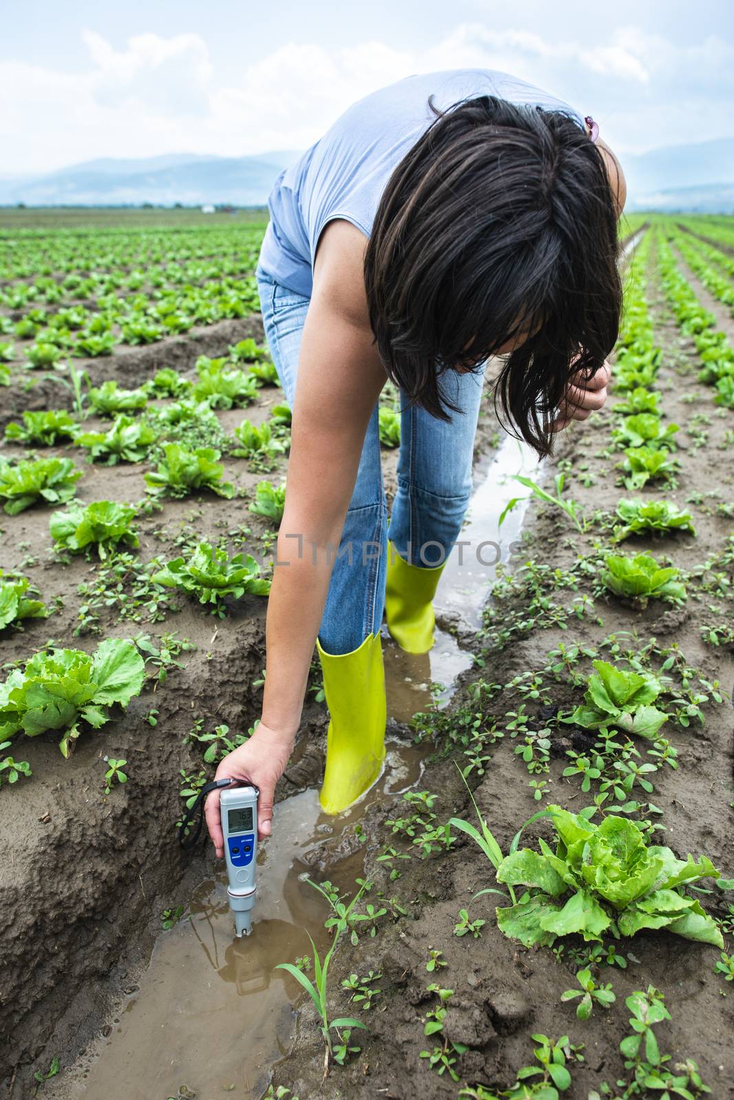 Woman mesures irrigation water with digital PH meter in watering by deyan_georgiev