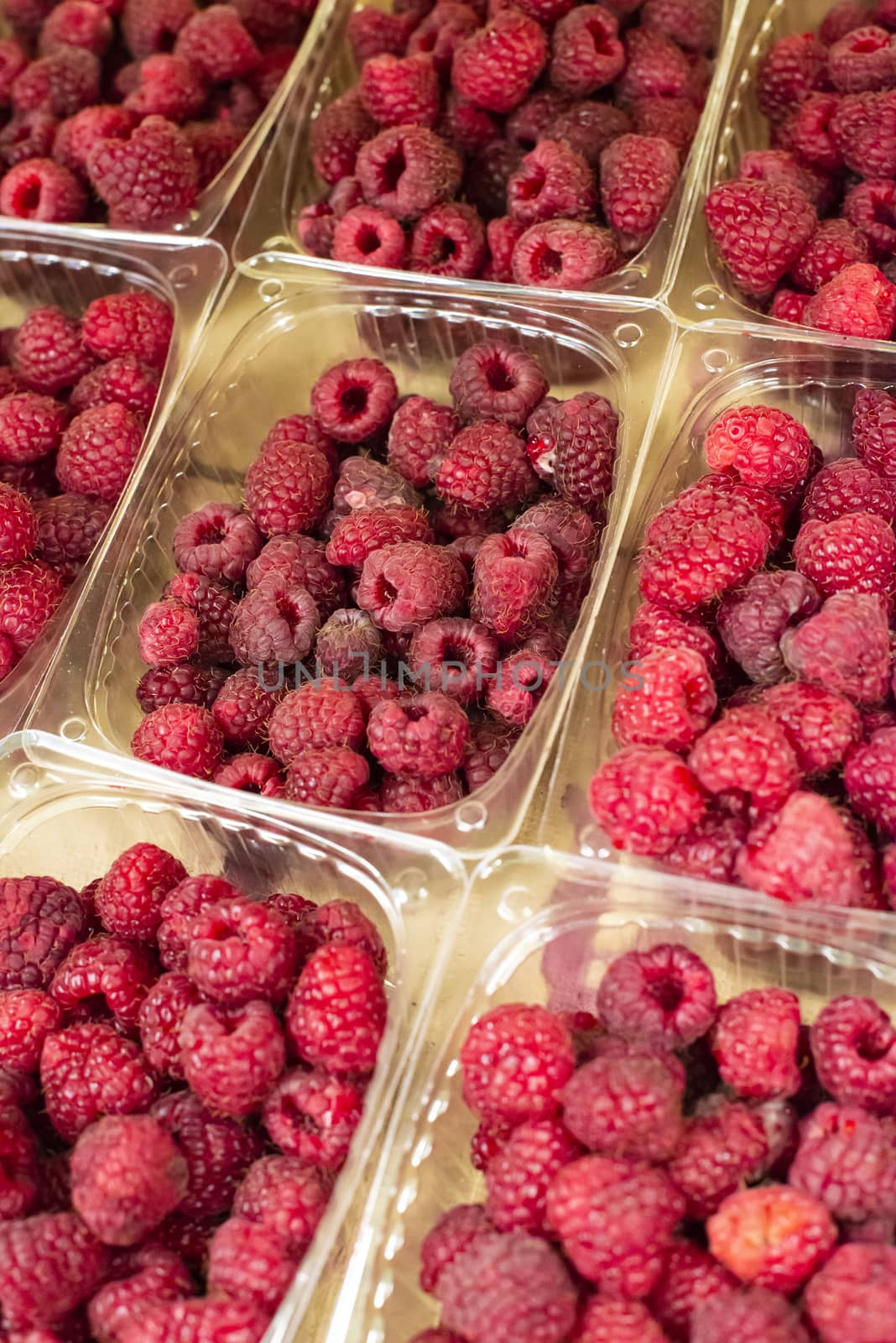Raspberries on shelf in the market. by deyan_georgiev