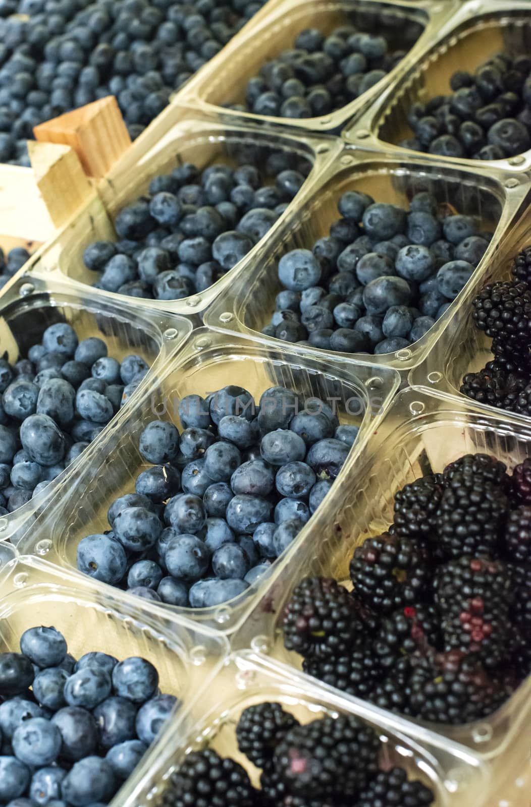 Blueberries on shelf in the market.  by deyan_georgiev