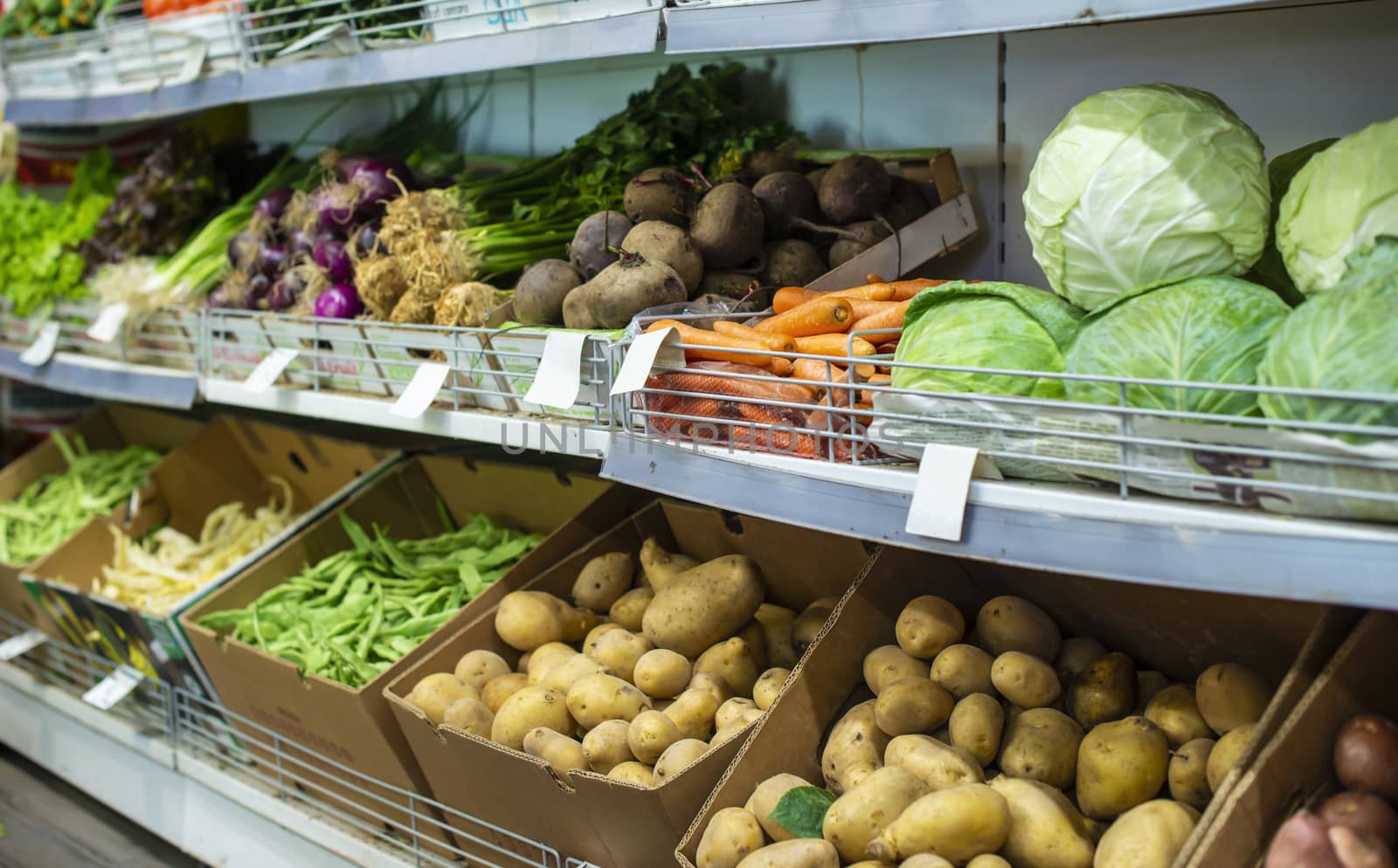 Vegetables on shelf in the market. by deyan_georgiev