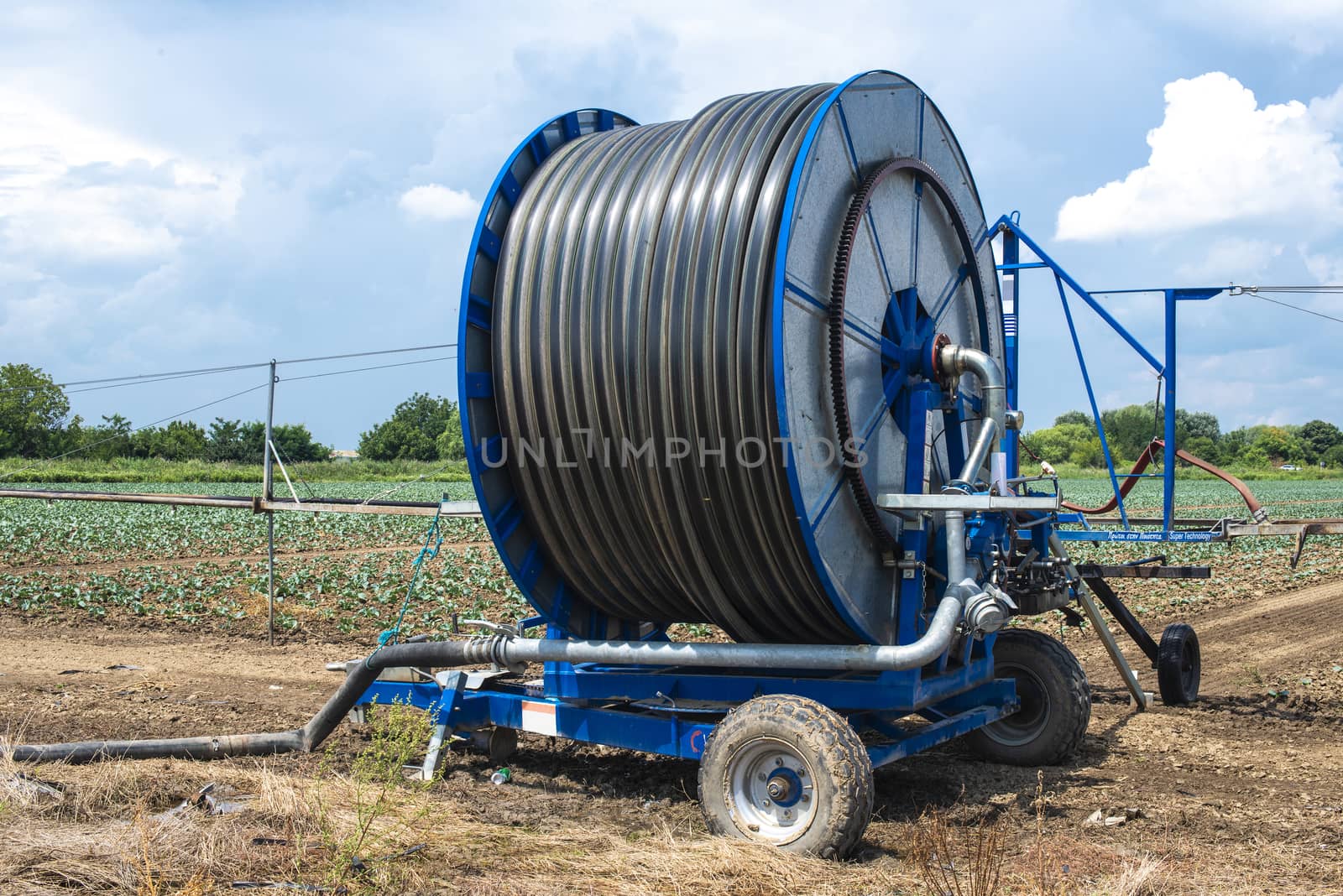 Irrigation sprinkler and rolled hose.  Watering concept. by deyan_georgiev