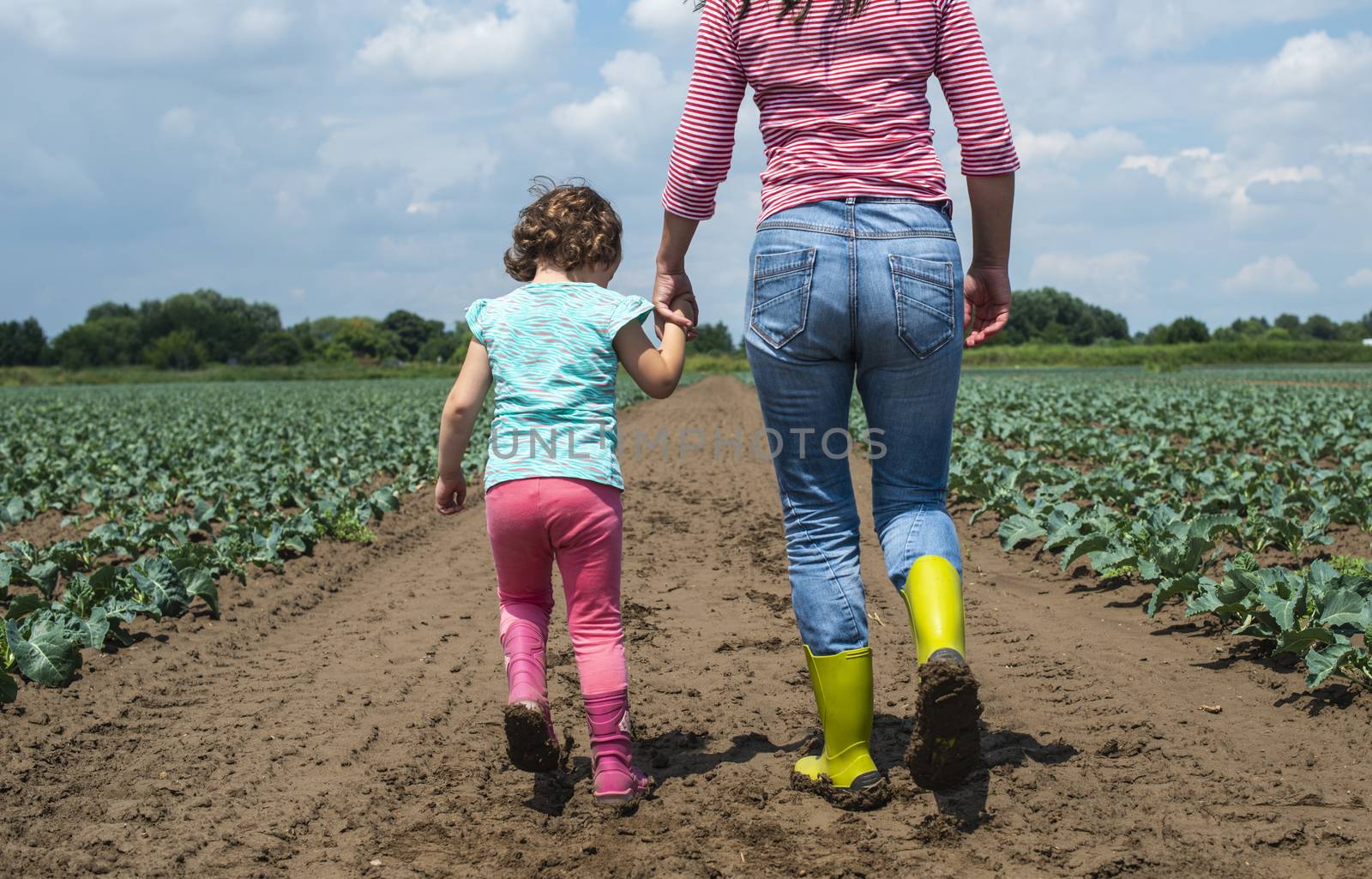 Woman and child on cabbage plantation. Agriculture concept with mother and child farmers.