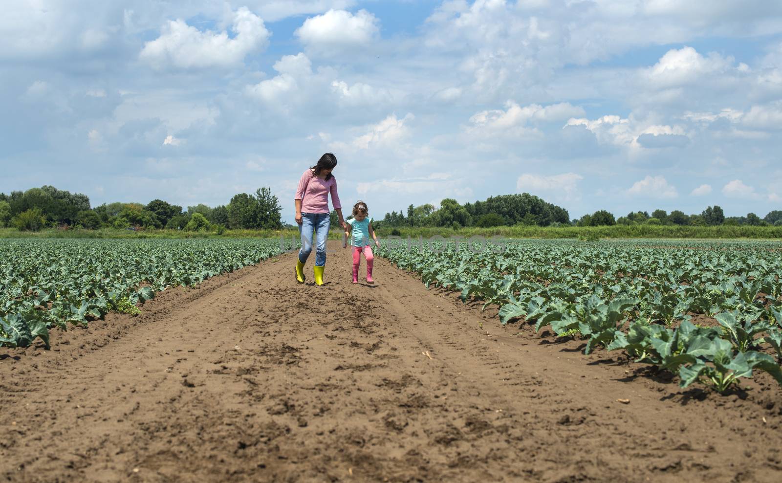 Woman and child on cabbage plantation. Agriculture concept with mother and child farmers.