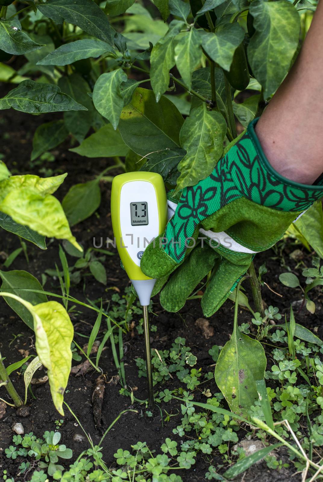 Moisture meter tester in soil. Measure soil for humidity with digital device. Woman farmer in a garden. Concept for new technology in the agriculture.