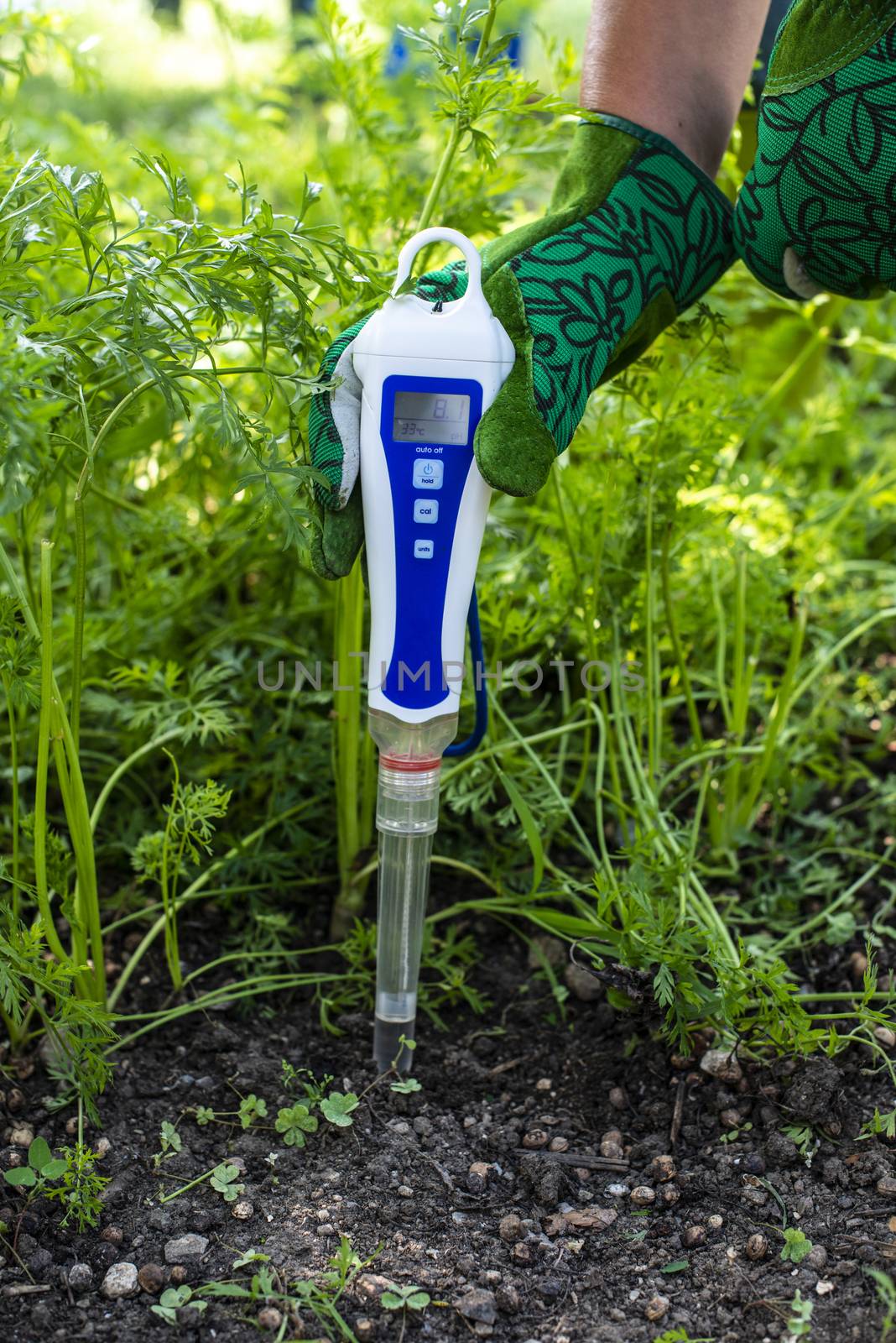 PH meter tester in soil. Measure soil with digital device. Woman farmer in a garden.