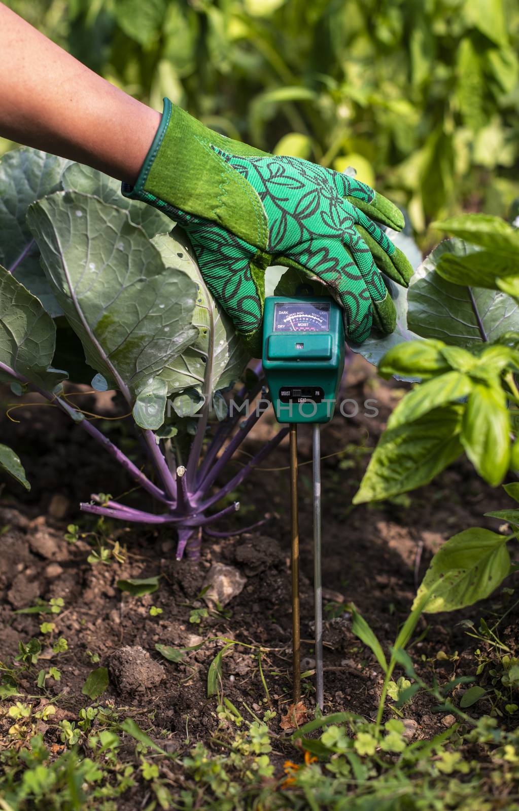 Moisture meter tester in soil. Measure soil for humidity, nitrogen and HP with digital device. Woman farmer in a garden. Concept for new technology in the agriculture.
