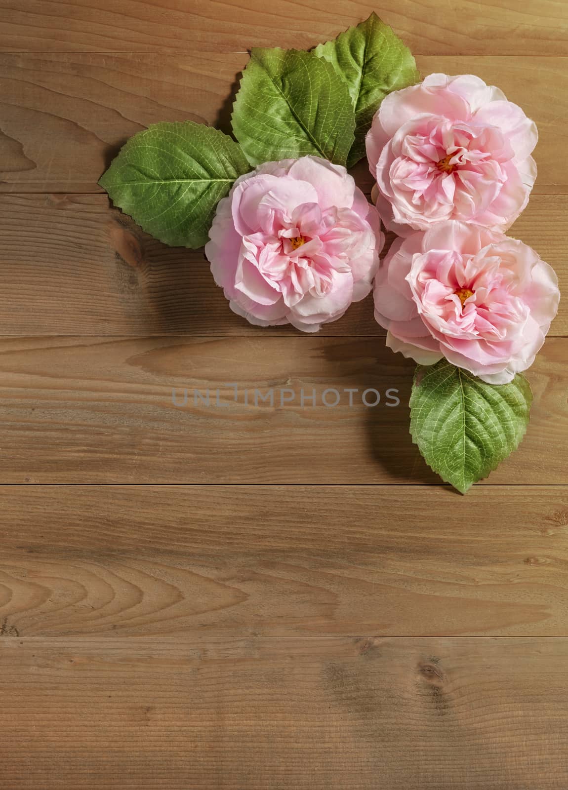 top view beautiful flowers with leaves on wooden background