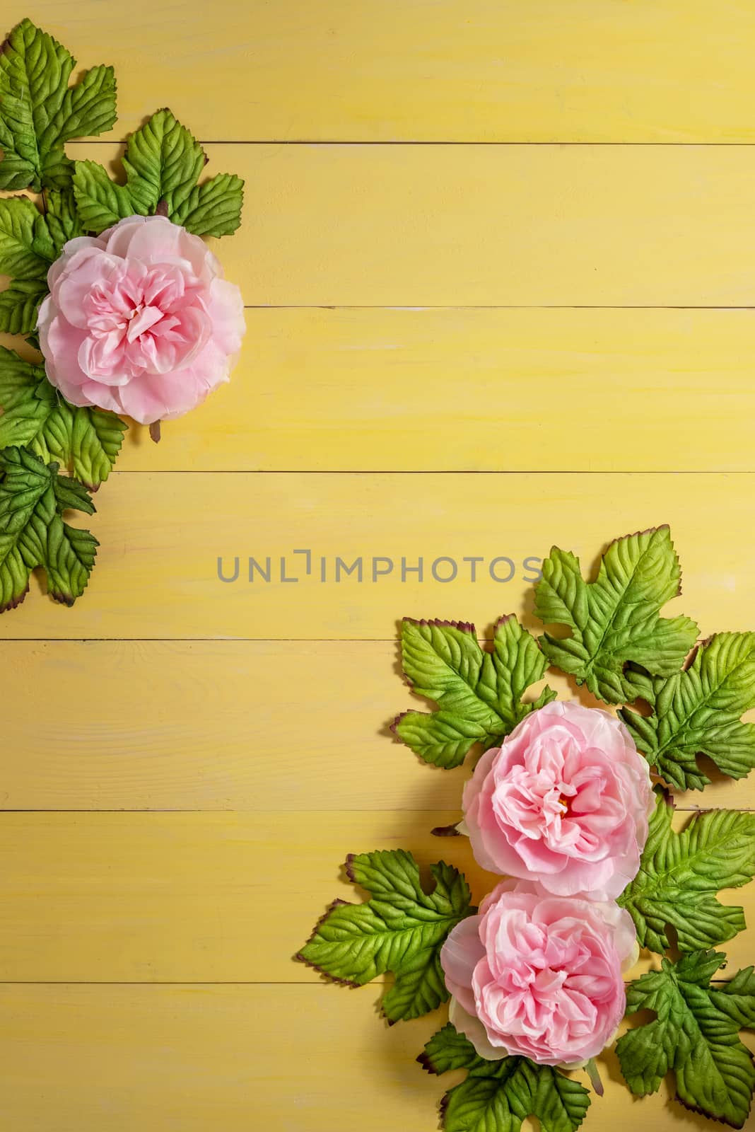 top view beautiful flowers with leaves  by rakratchada