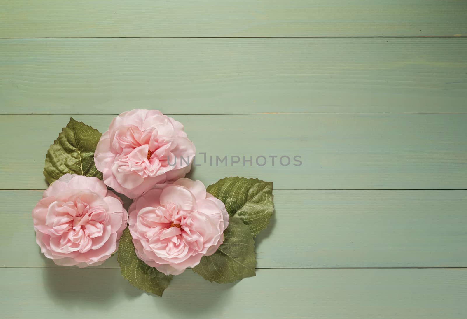 top view beautiful flowers with leaves on wooden background