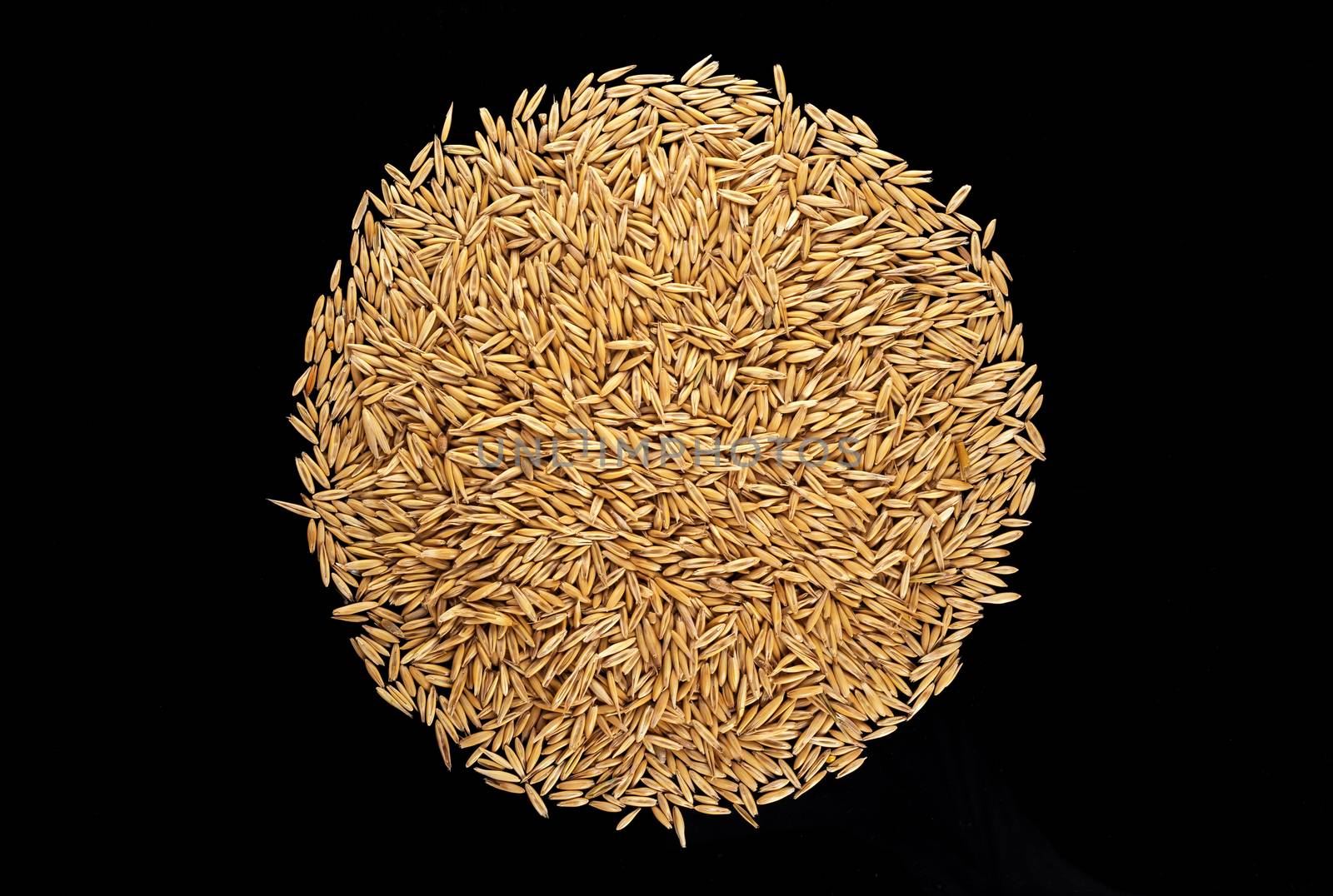 Pile of oat grains on black background, top view by xamtiw