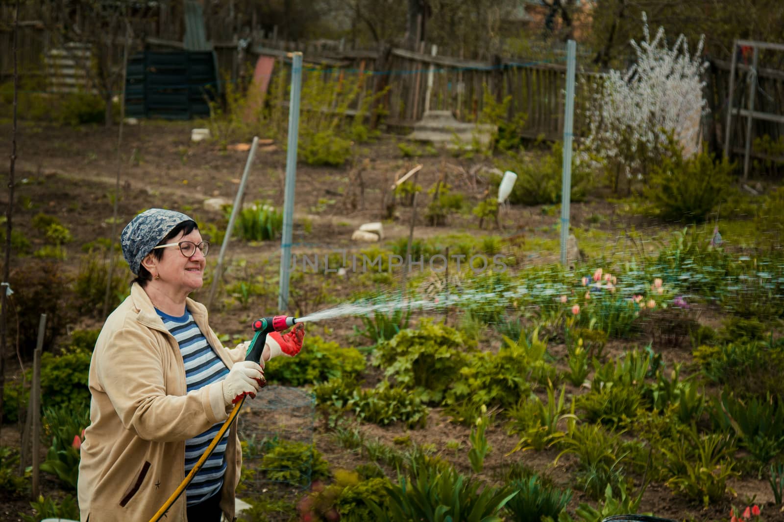 gardening and people concept - happy senior woman watering lawn by garden hose at summer by yulaphotographer