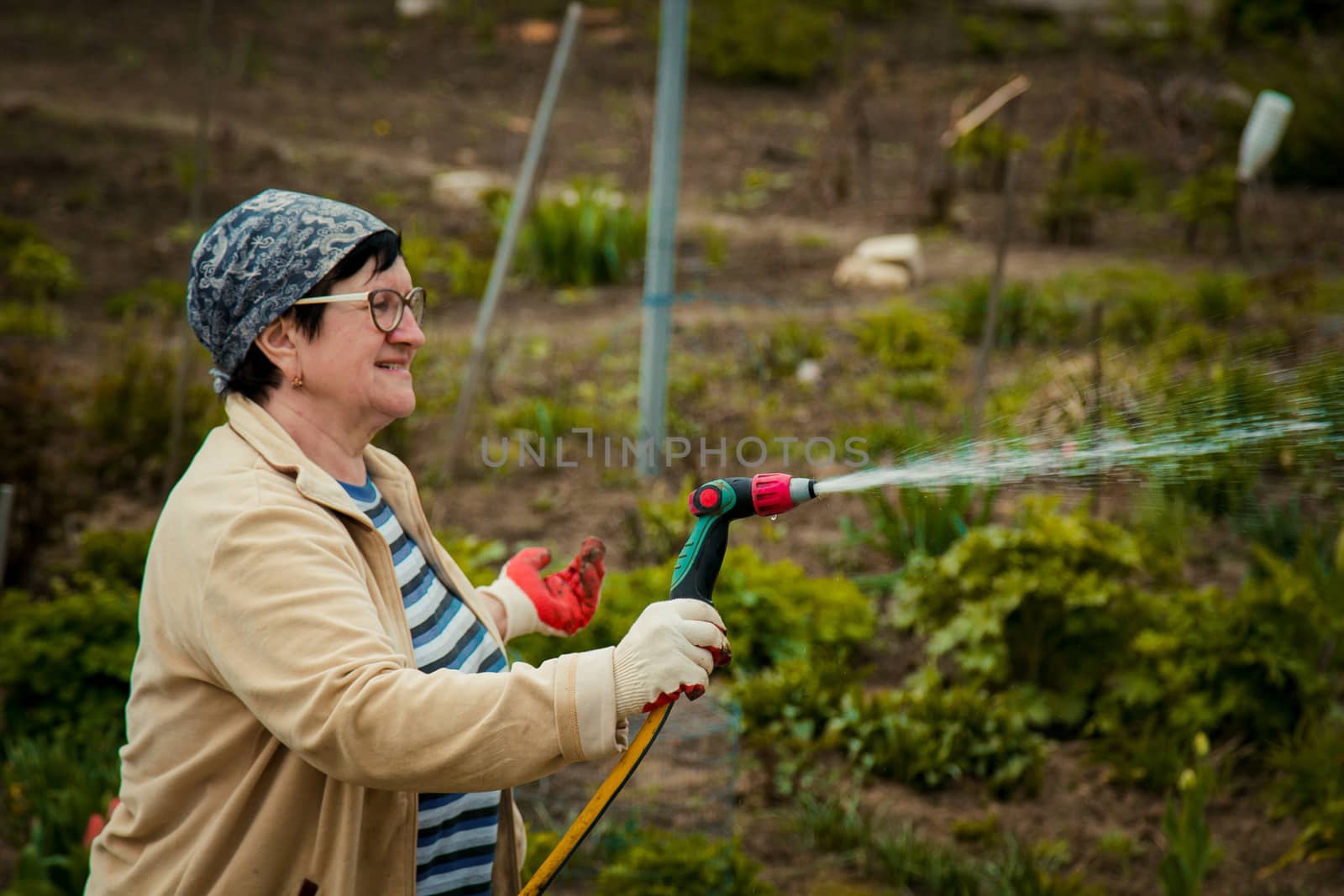 gardening and people concept - happy senior woman watering lawn by garden hose with sprayer at autumn