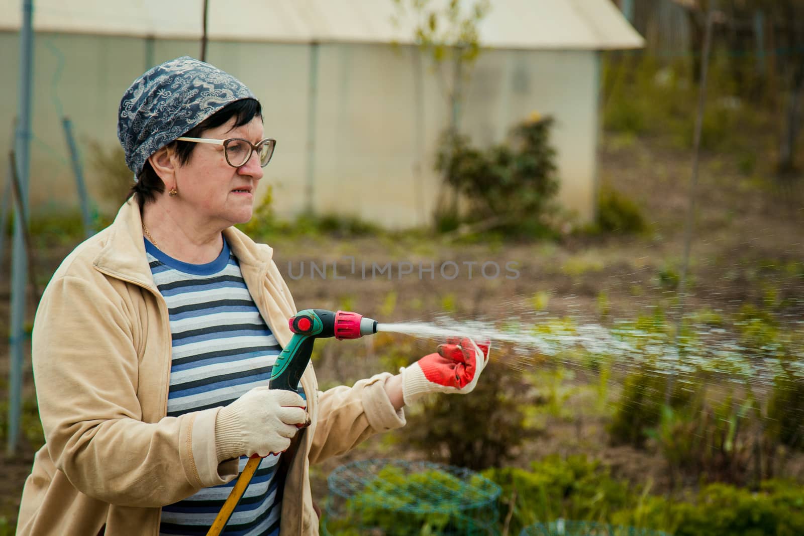 gardening and people concept - happy senior woman watering lawn by garden hose at summer by yulaphotographer
