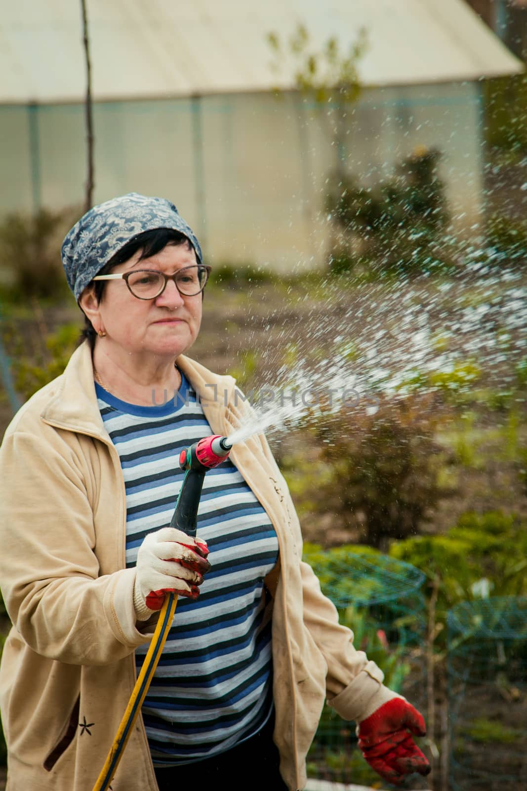 gardening and people concept - happy senior woman watering lawn by garden hose at summer by yulaphotographer