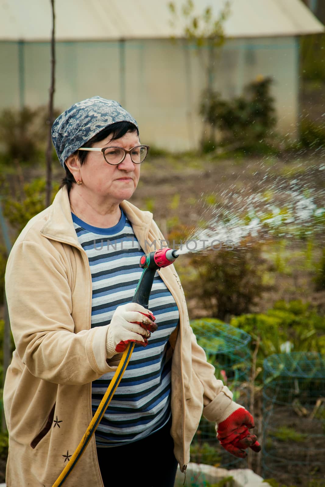 gardening and people concept - happy senior woman watering lawn by garden hose at summer by yulaphotographer