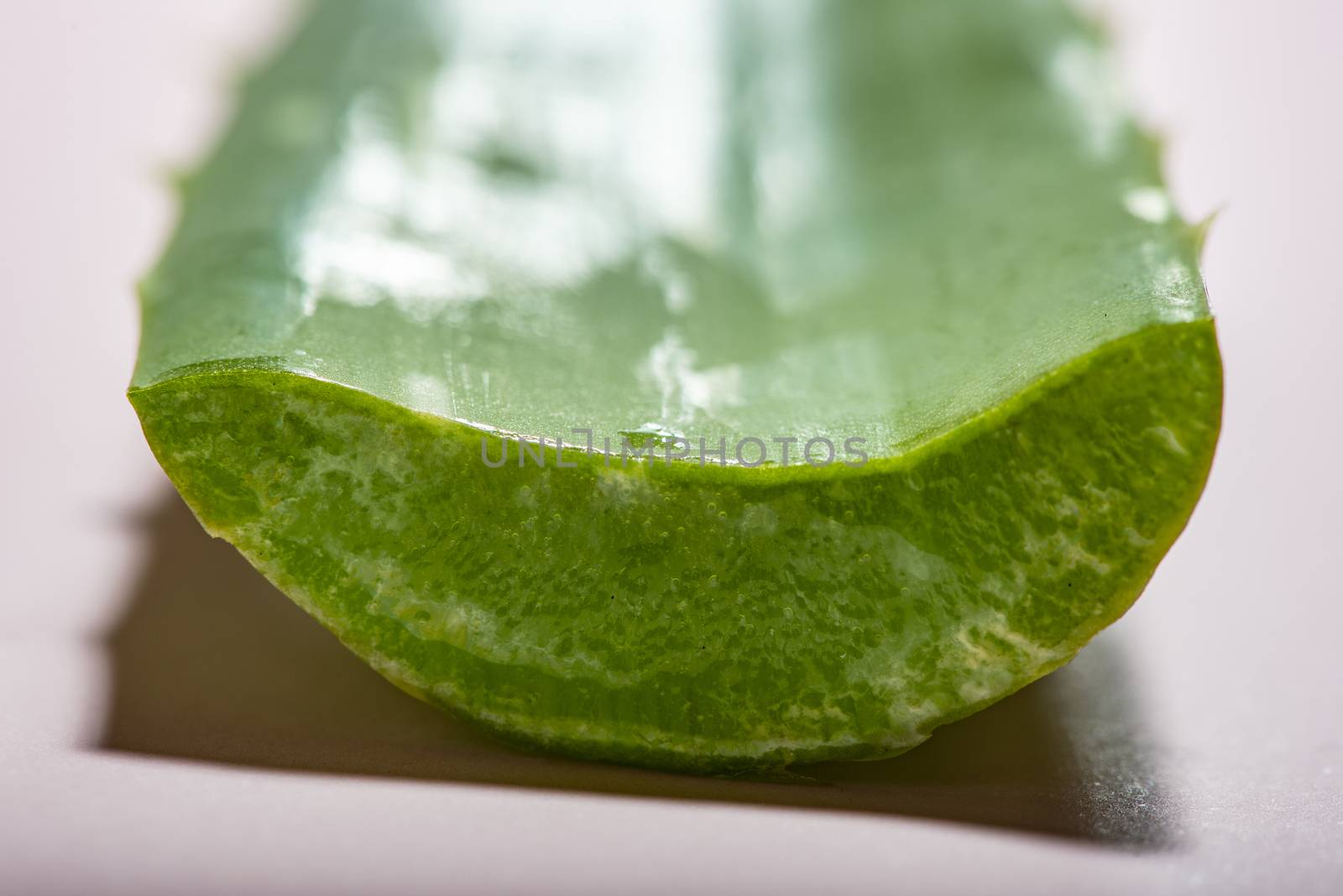 Aloe vera slices on pink background. Health and beauty concept. Closeup aloe pieces on backlight.