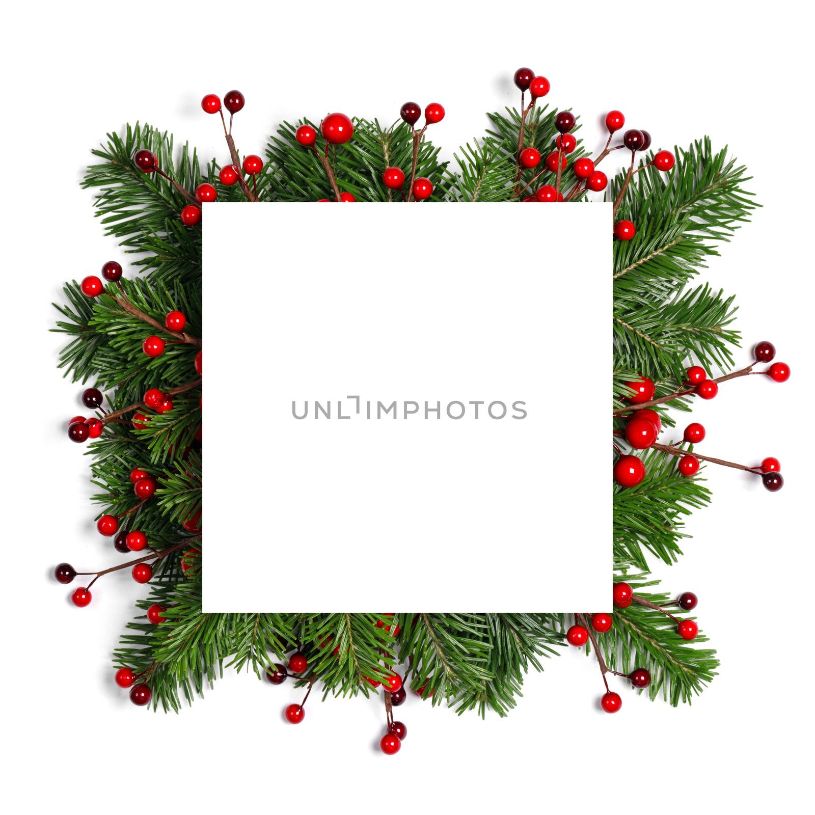 Christmas border arranged with fresh fir branches and red berries isolated on white background , copy space for text