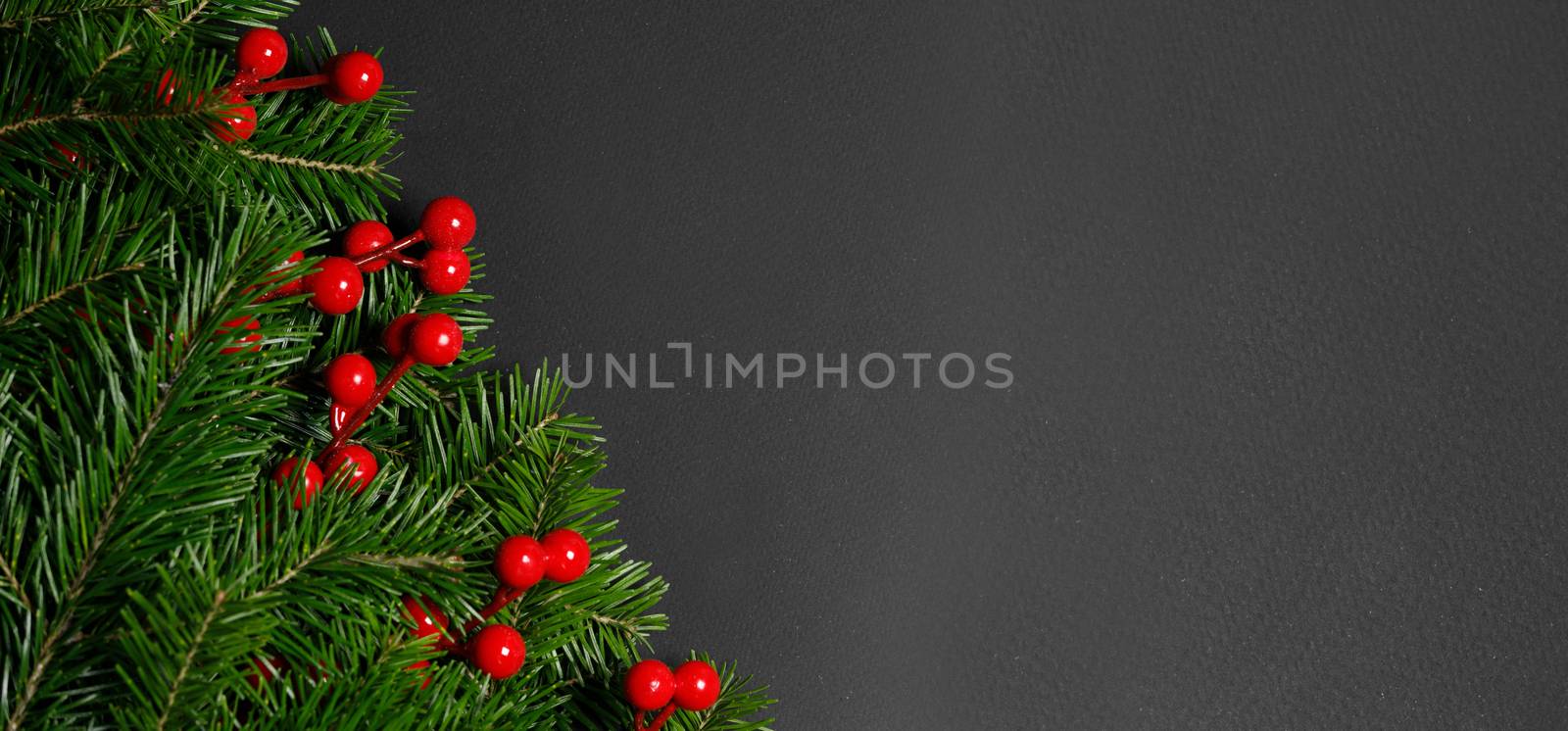 Christmas border arranged with fresh fir branches and red berries on black paper background , copy space for text