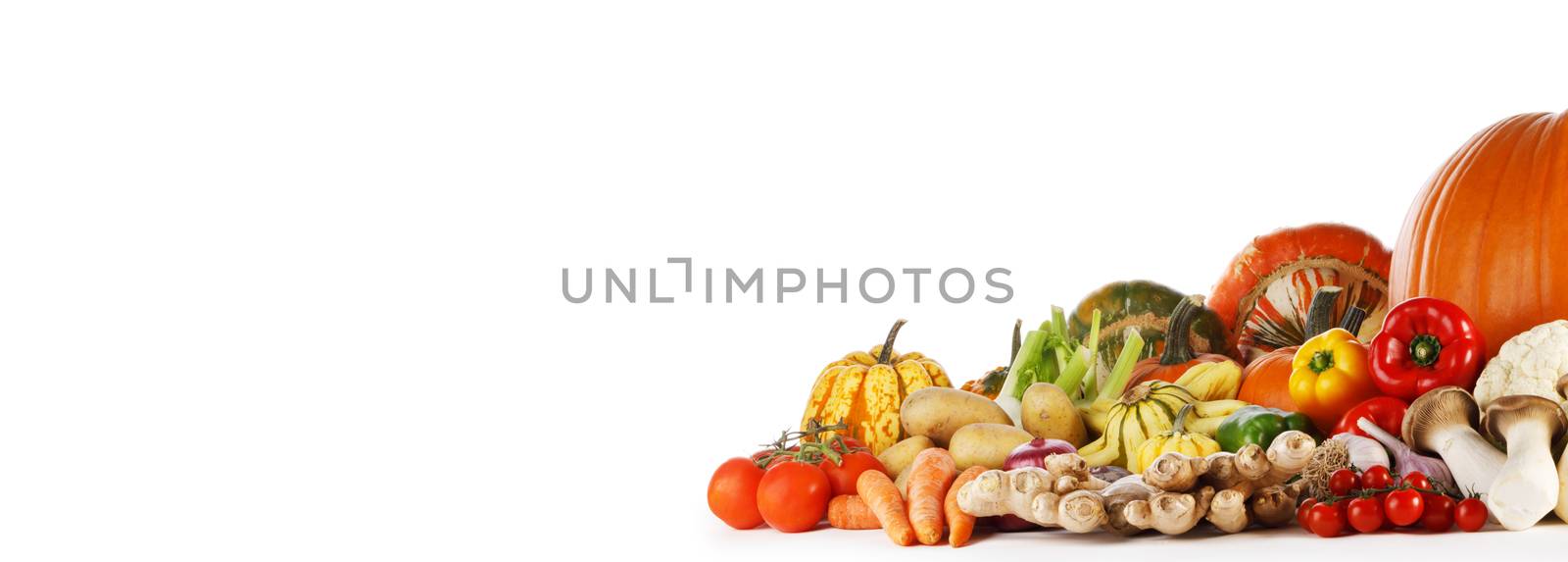 Harvest of many vegetables isolated on white background with copy space for text
