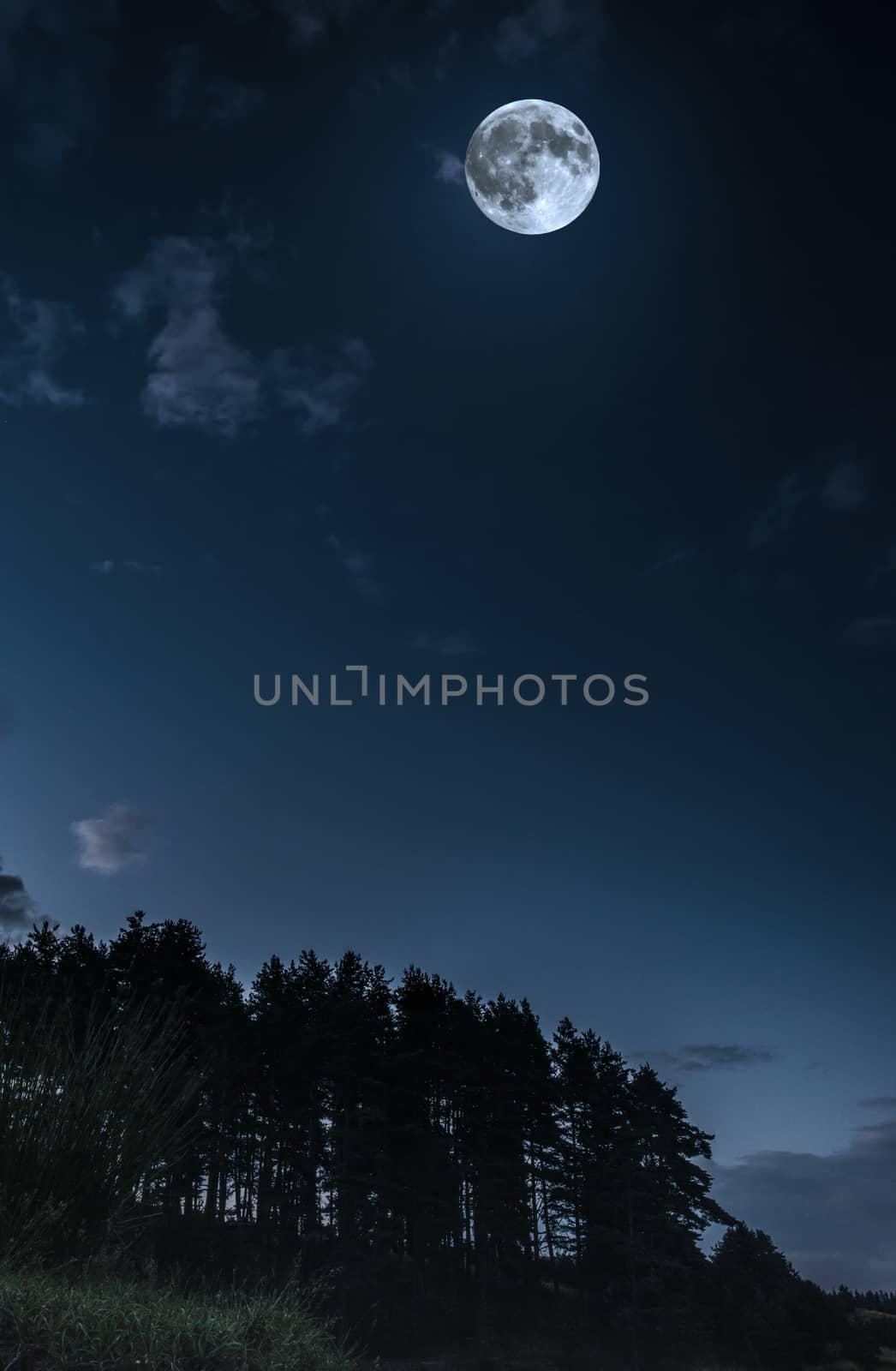 Moon and clouds in the night. Moonlight  in the forest. Copy space background. Dark blue backdrop.