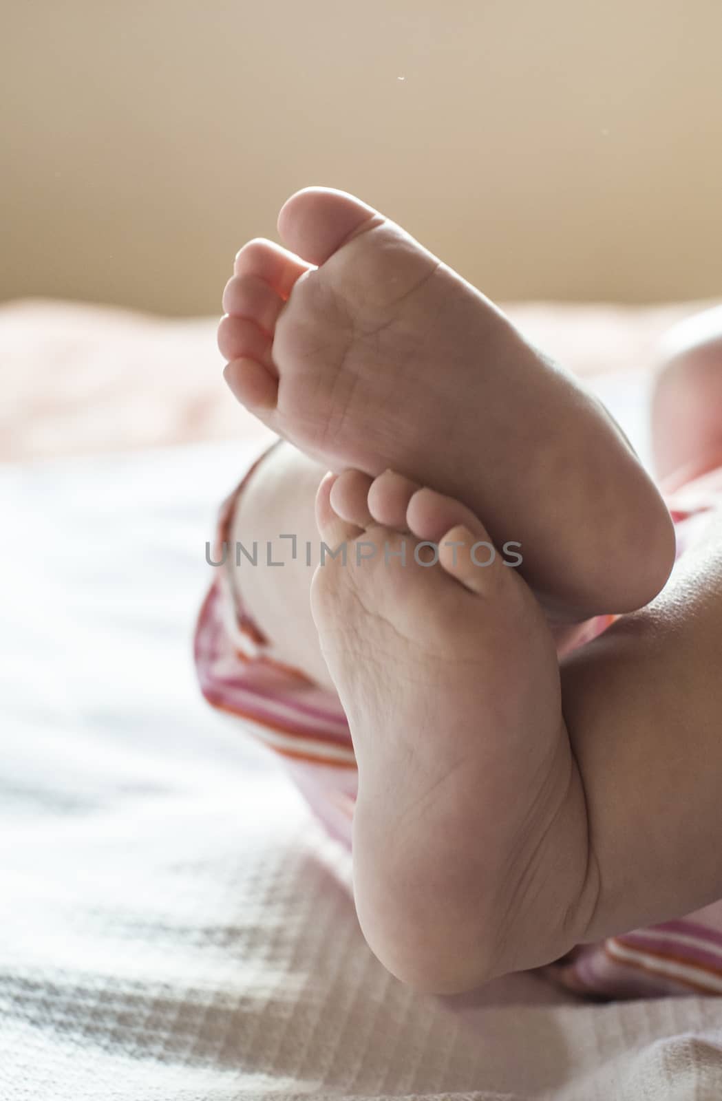 Baby feets close-up on bed. Natural window light. Baby girl.