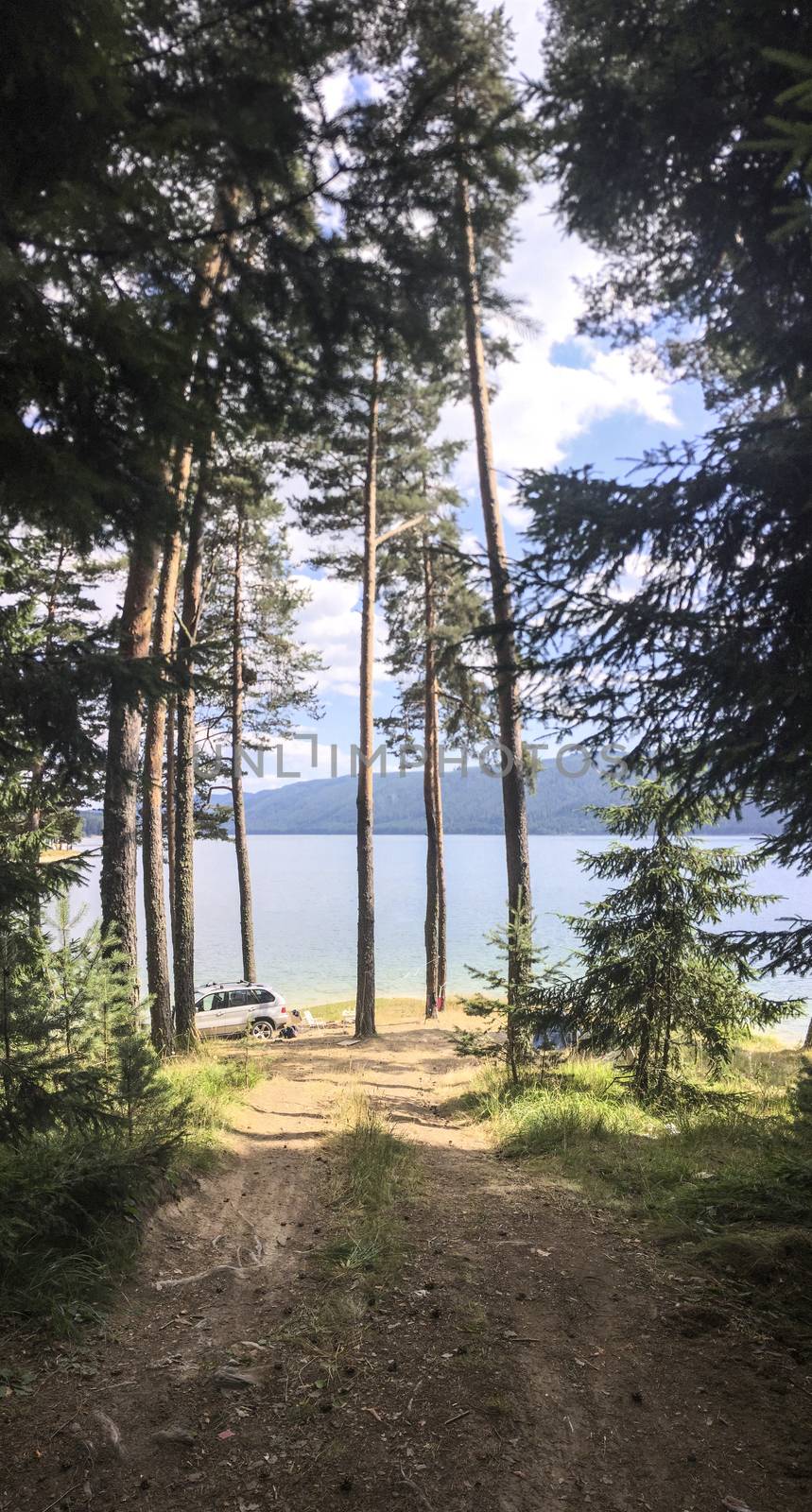 Panoramic image of forest and mountain lake. Tents and car in the wild nature. Sunny day. Many pine trees. Panorama in the forest.