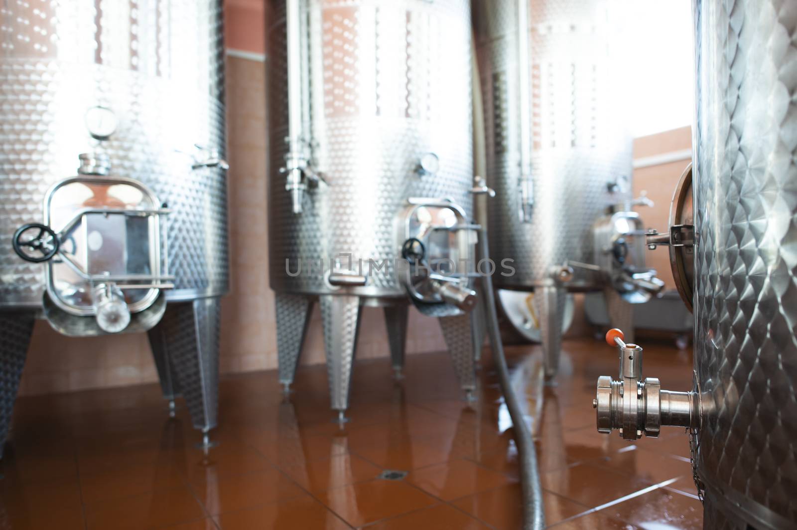 Wine fermenters in winery