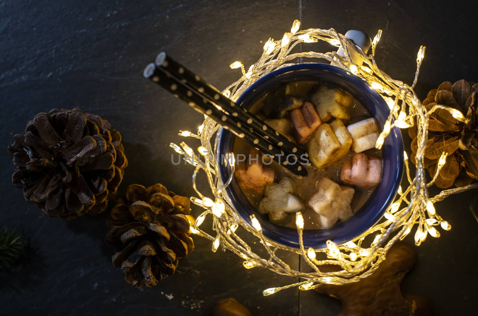 Cup of milk and Marshmallow. Christmas lights by deyan_georgiev