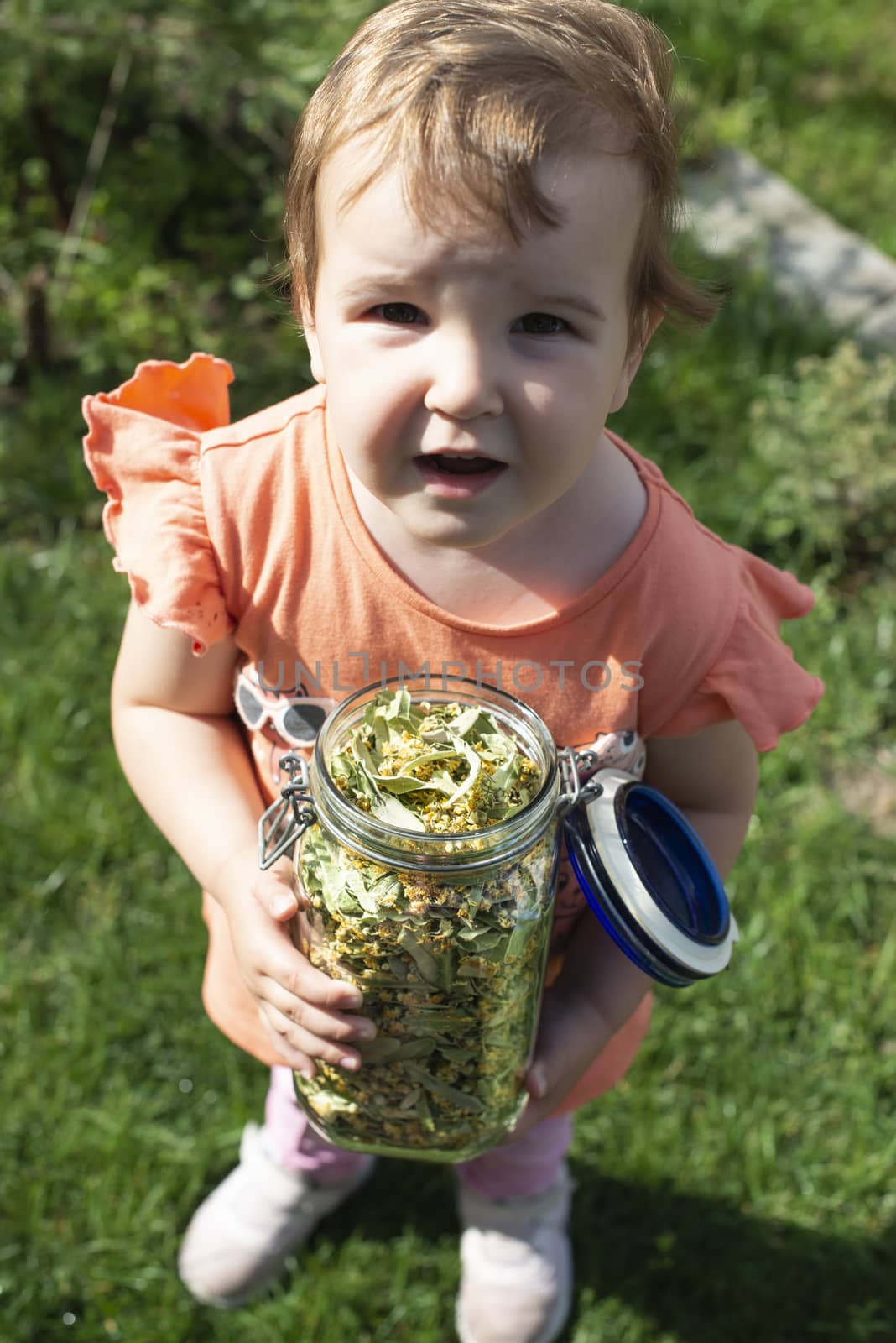 Little girl hold Linden blossom by deyan_georgiev