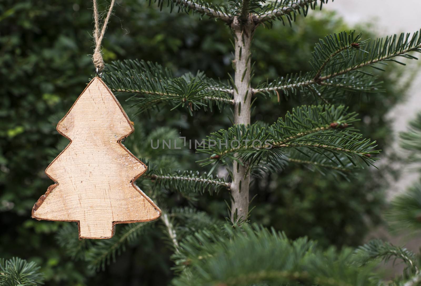 Christmas fir shape on branch