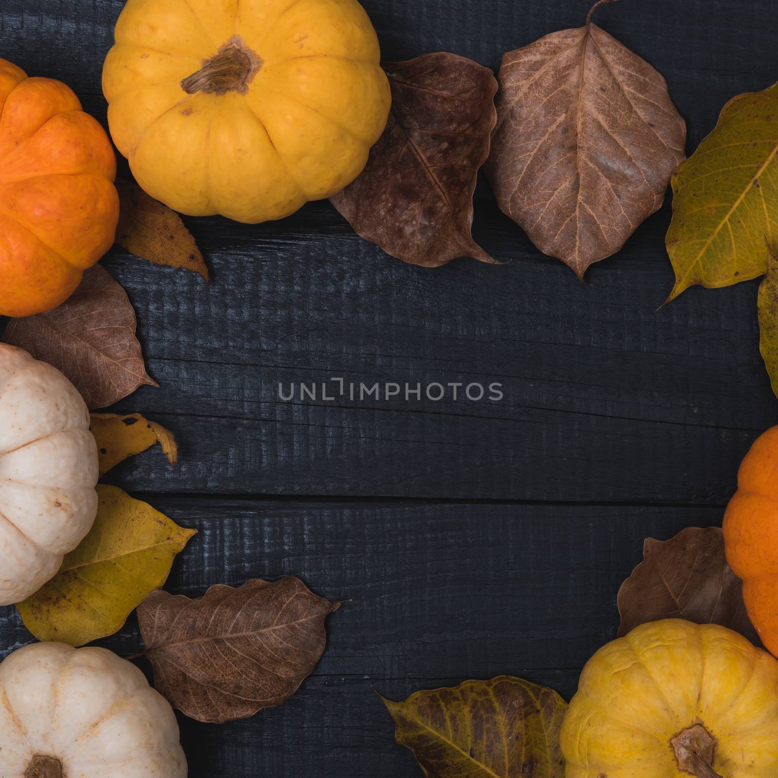 Fall Thanksgiving and Halloween pumpkins and dry leaves on wooden background, top view shot