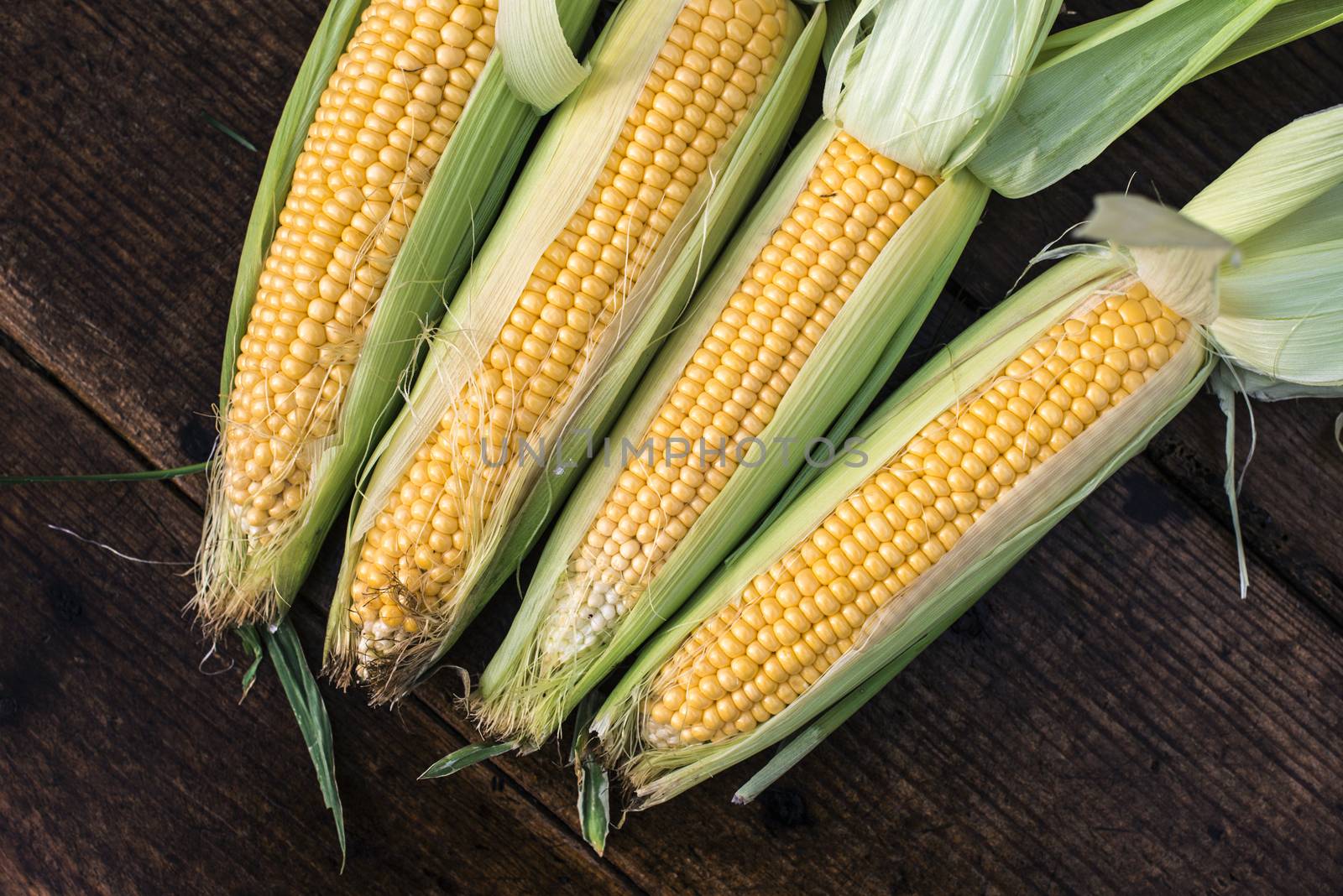 Raw corn in the garden on wooden background