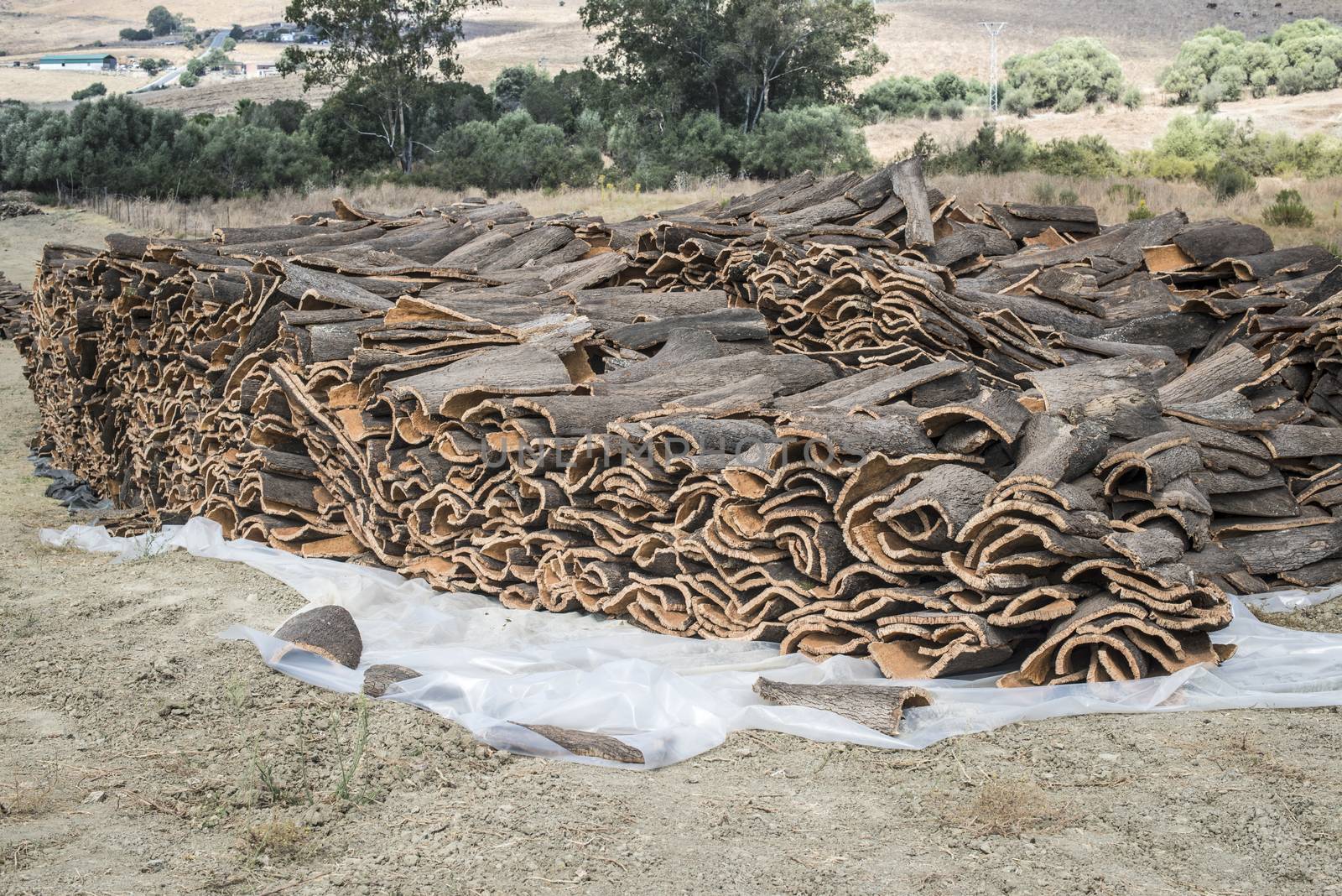 Pile of bark from cork tree